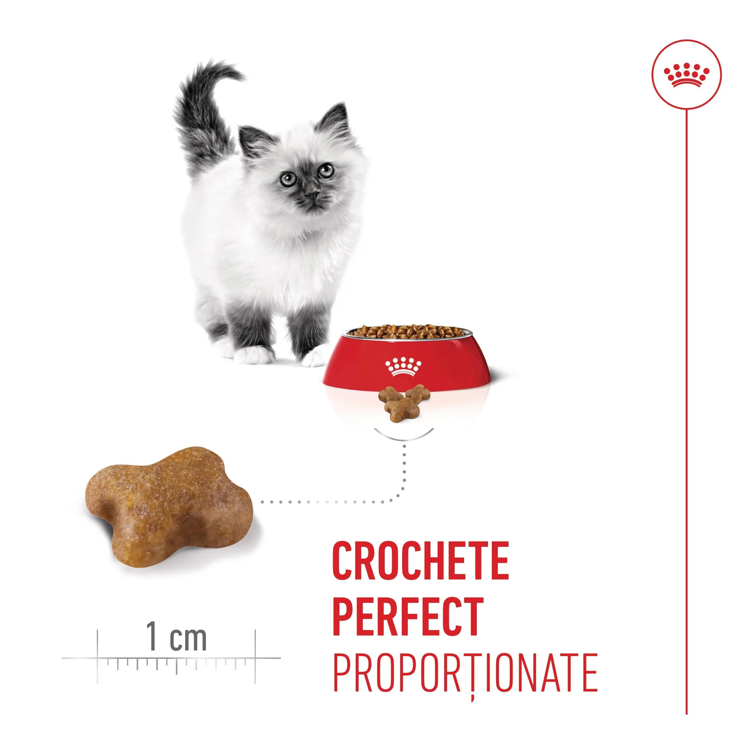 Royal Canin Kitten hrană uscată pisici junior 4kg