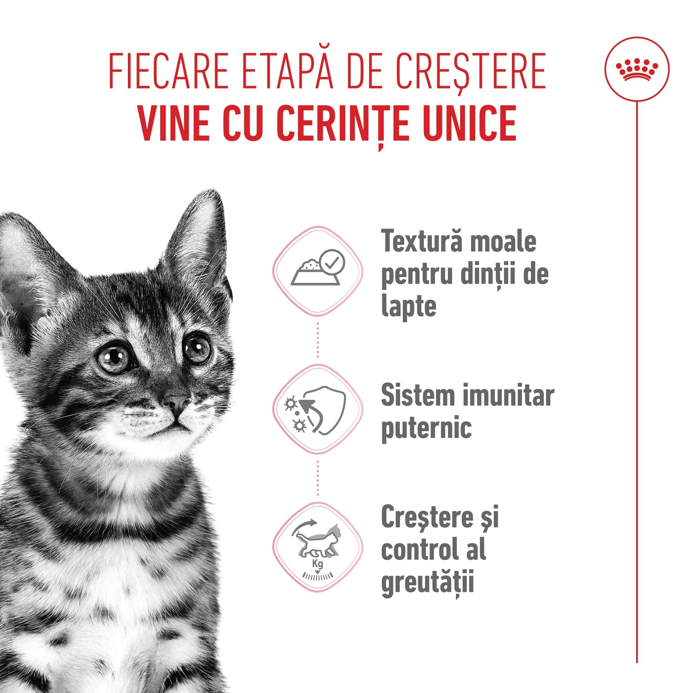 Royal Canin Kitten Sterilised hrană umedă pisici sterilizate junior (în sos) bax 85g x 12buc