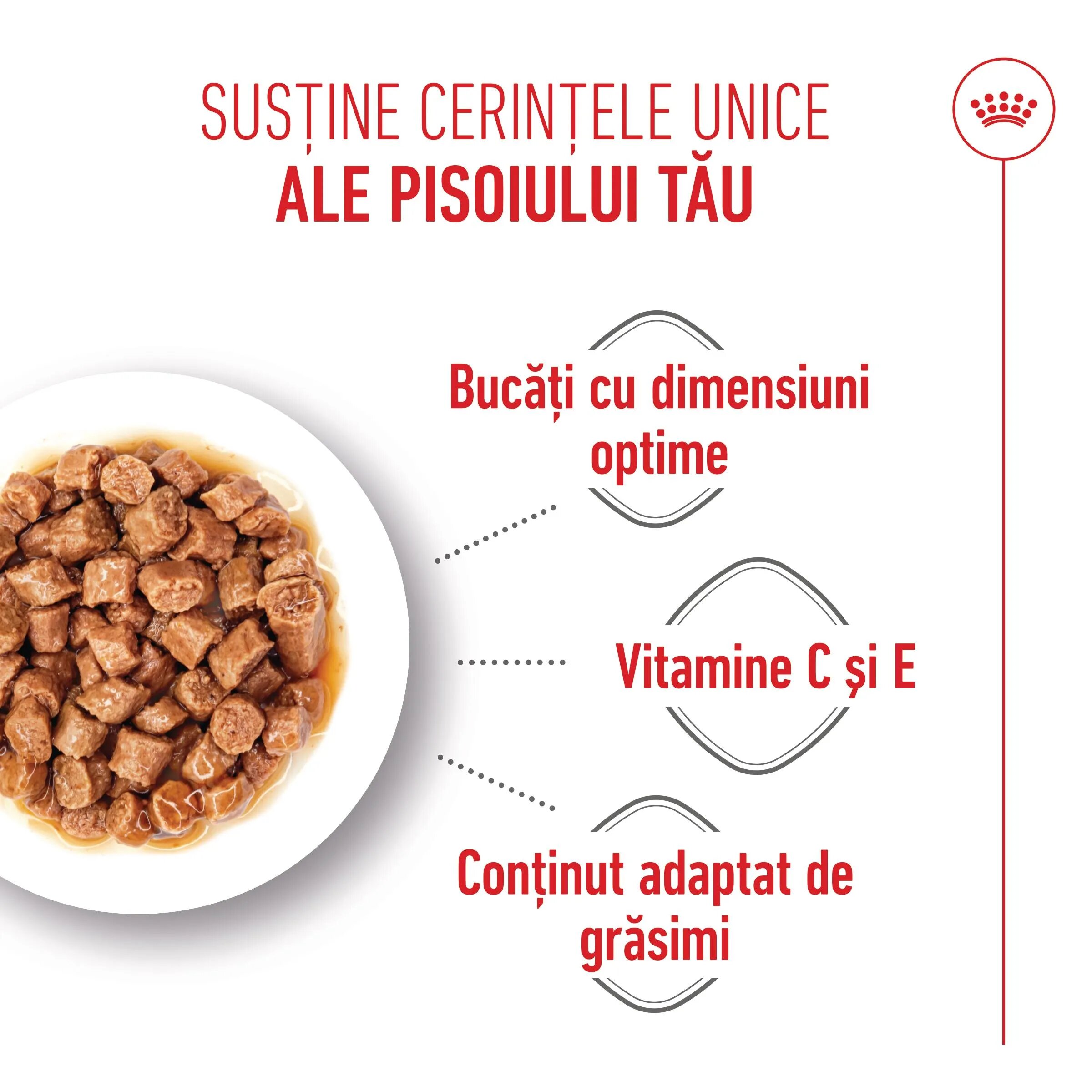 Royal Canin Kitten Sterilised hrană umedă pisici sterilizate junior (în sos) bax 85g x 12buc