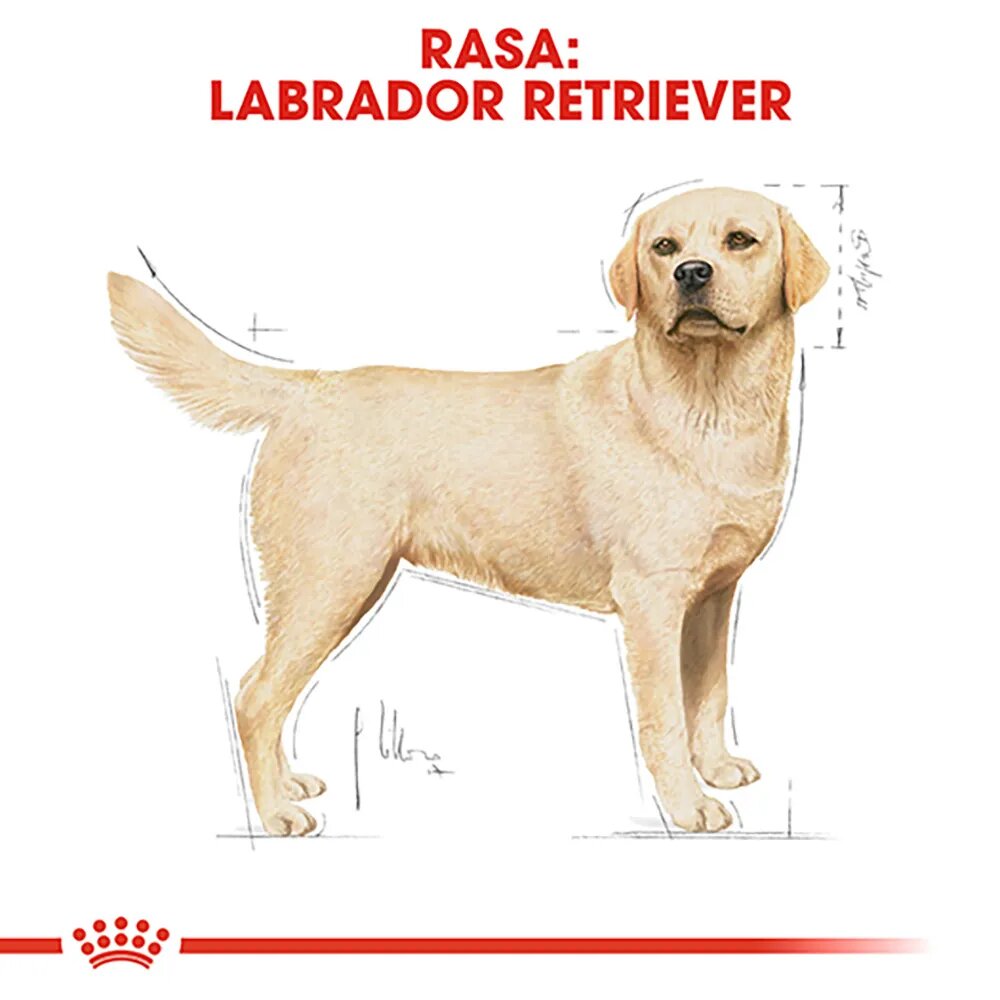 Royal Canin Labrador Adult hrană uscată câini 12kg
