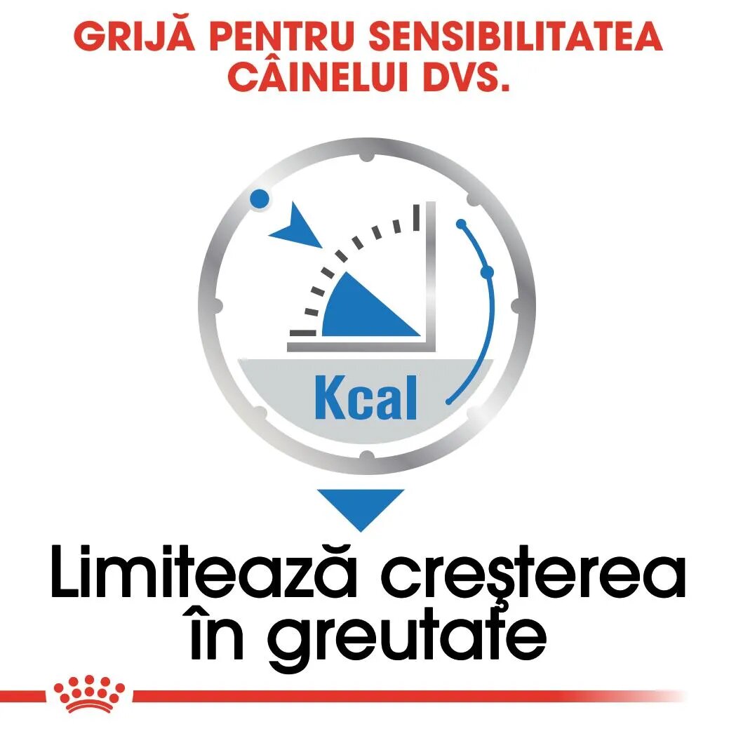 Royal Canin Light Weight Care Adult hrană umedă câini limitarea creșterii în greutate (pate) 85g