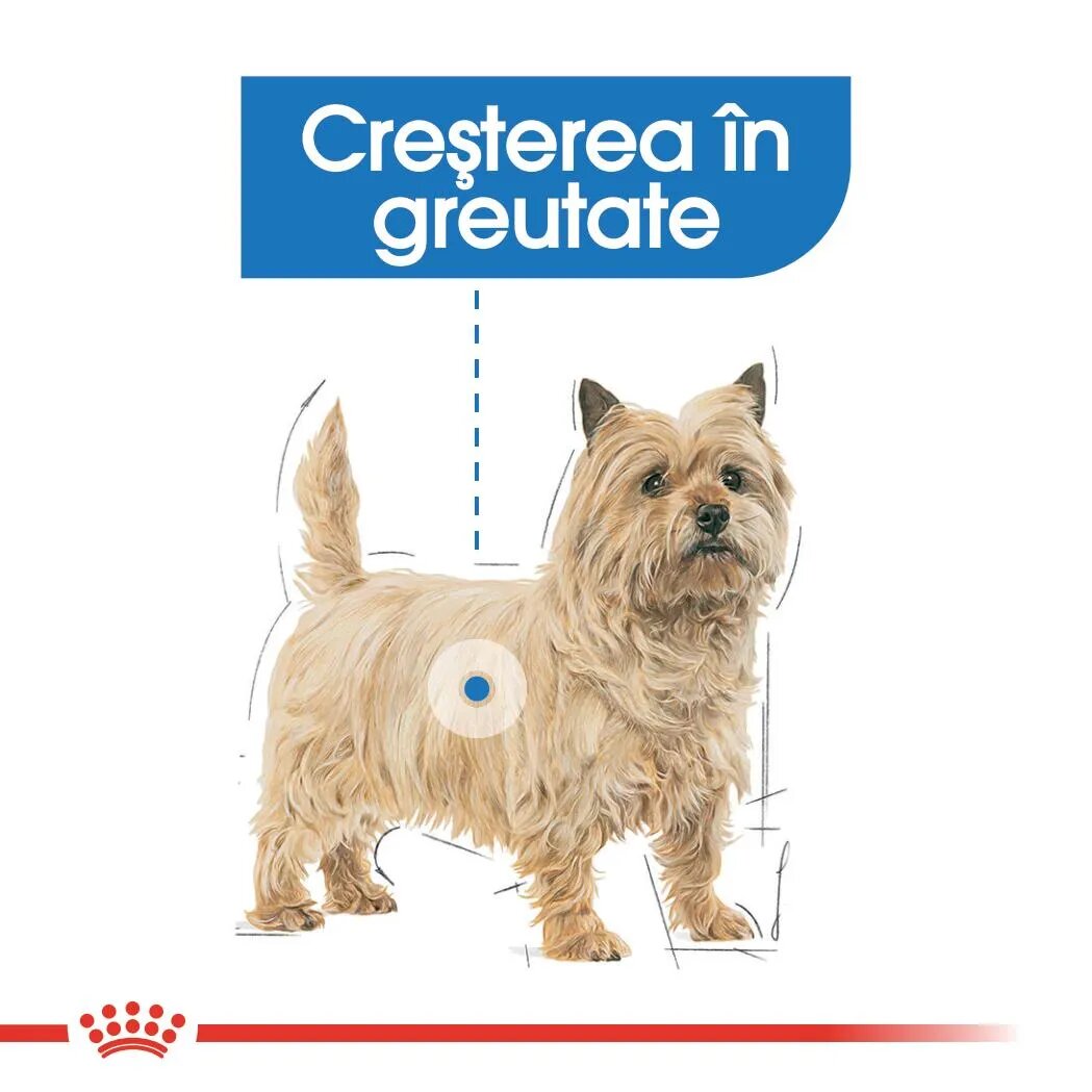 Royal Canin Light Weight Care Adult hrană umedă câini limitarea creșterii în greutate (pate) bax 85g x 12buc