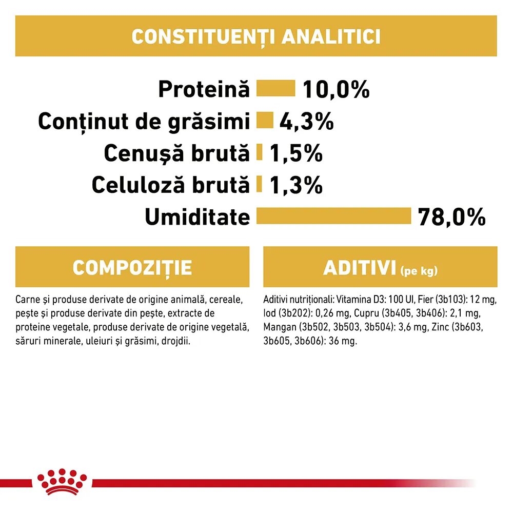 Royal Canin Maine Coon Adult hrană umedă pisici (în sos) 85g