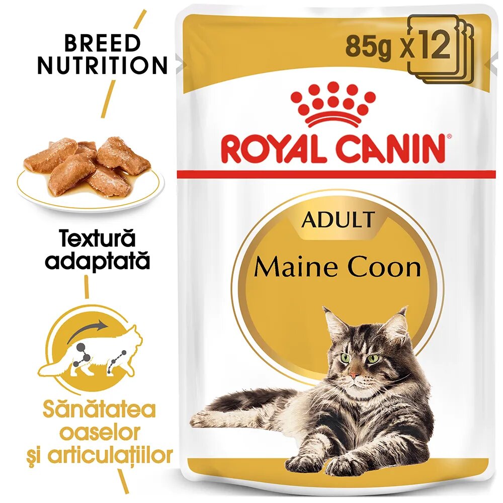 Royal Canin Maine Coon Adult hrană umedă pisici (în sos) bax 85g x 12buc