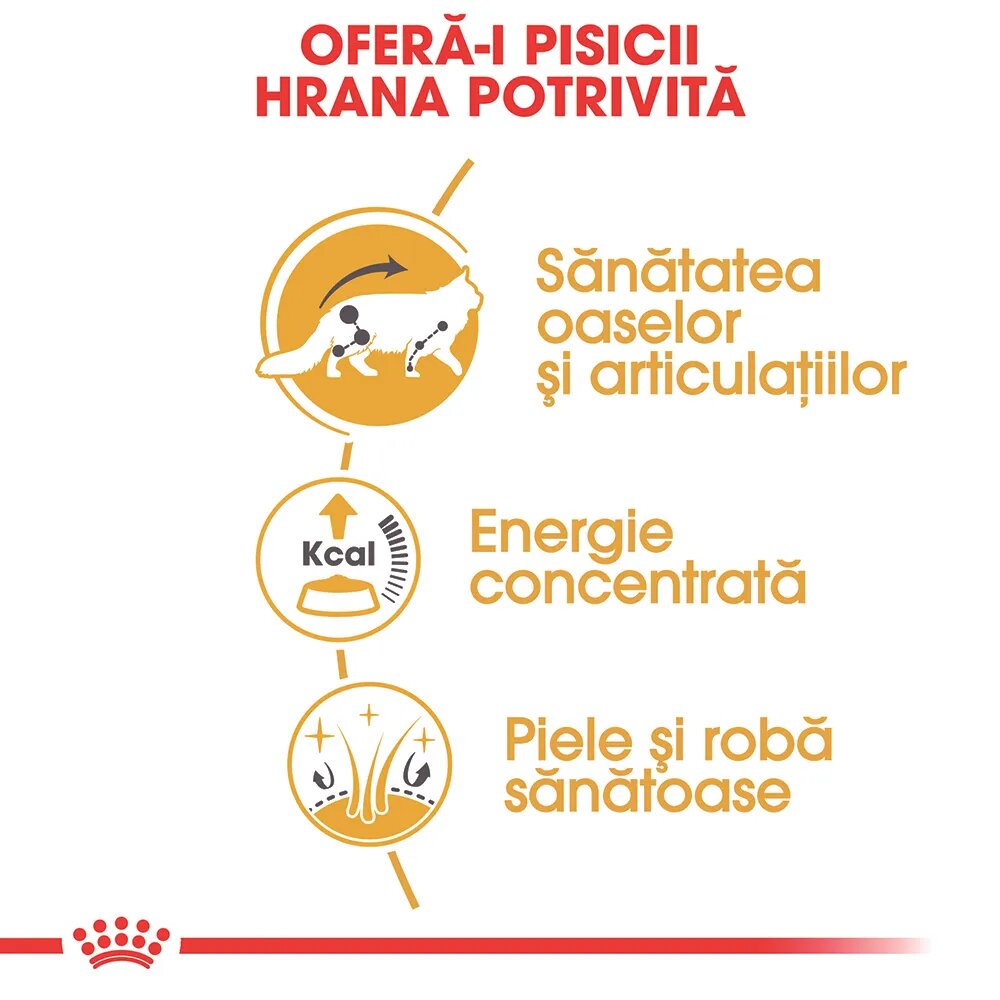 Royal Canin Maine Coon Adult hrană umedă pisici (în sos) bax 85g x 12buc