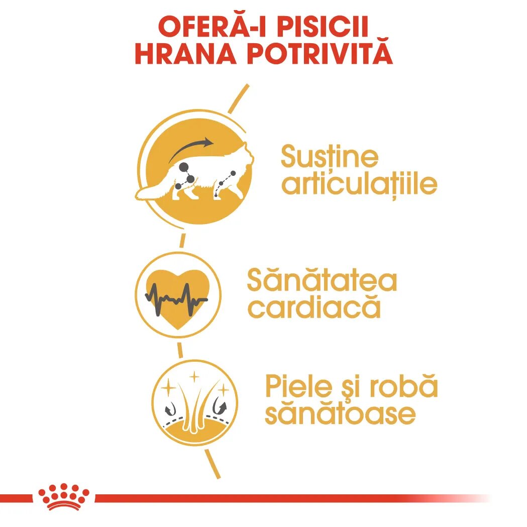 Royal Canin Maine Coon Adult hrană uscată pisici 10kg