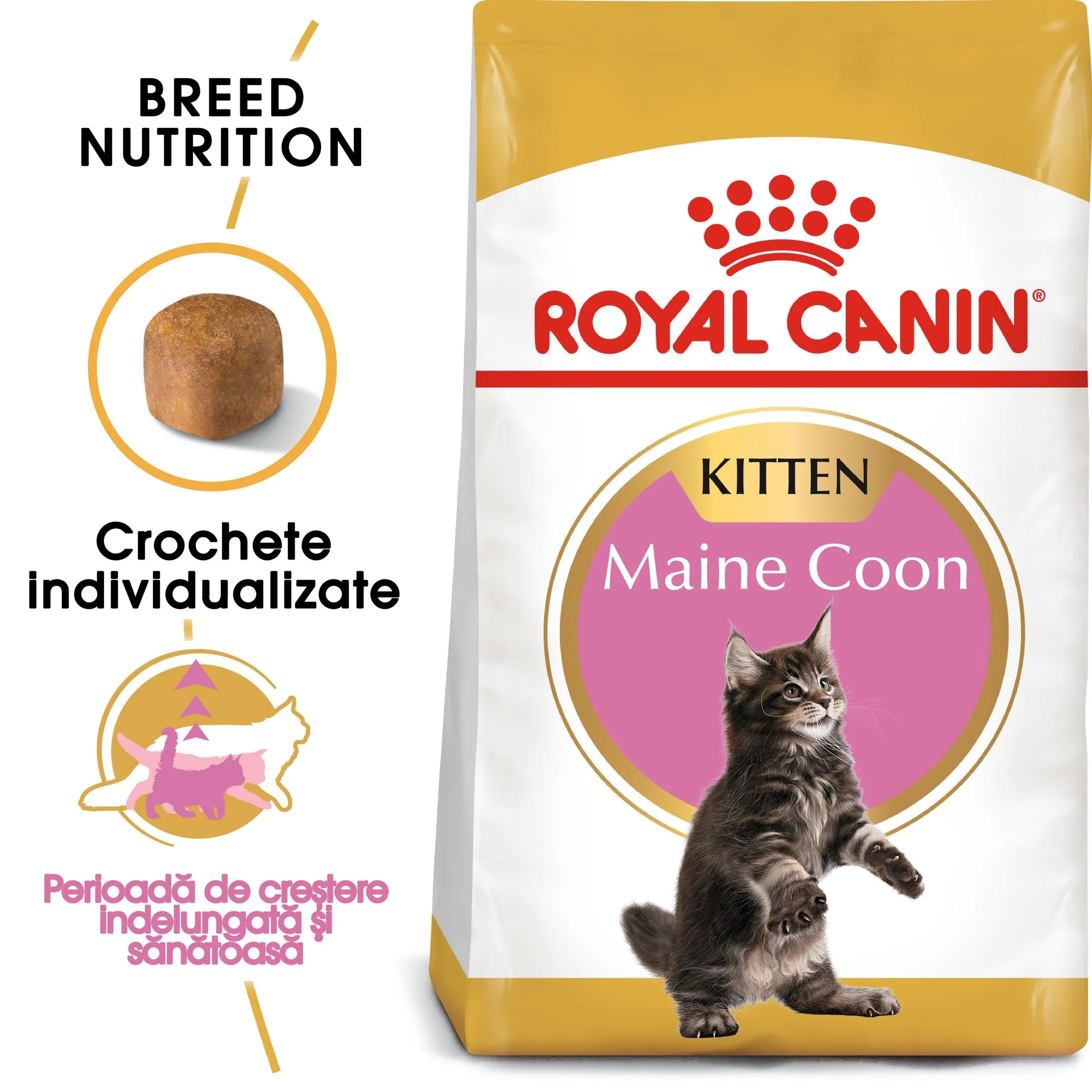 Royal Canin Maine Coon Kitten hrană uscată pisici junior 10kg