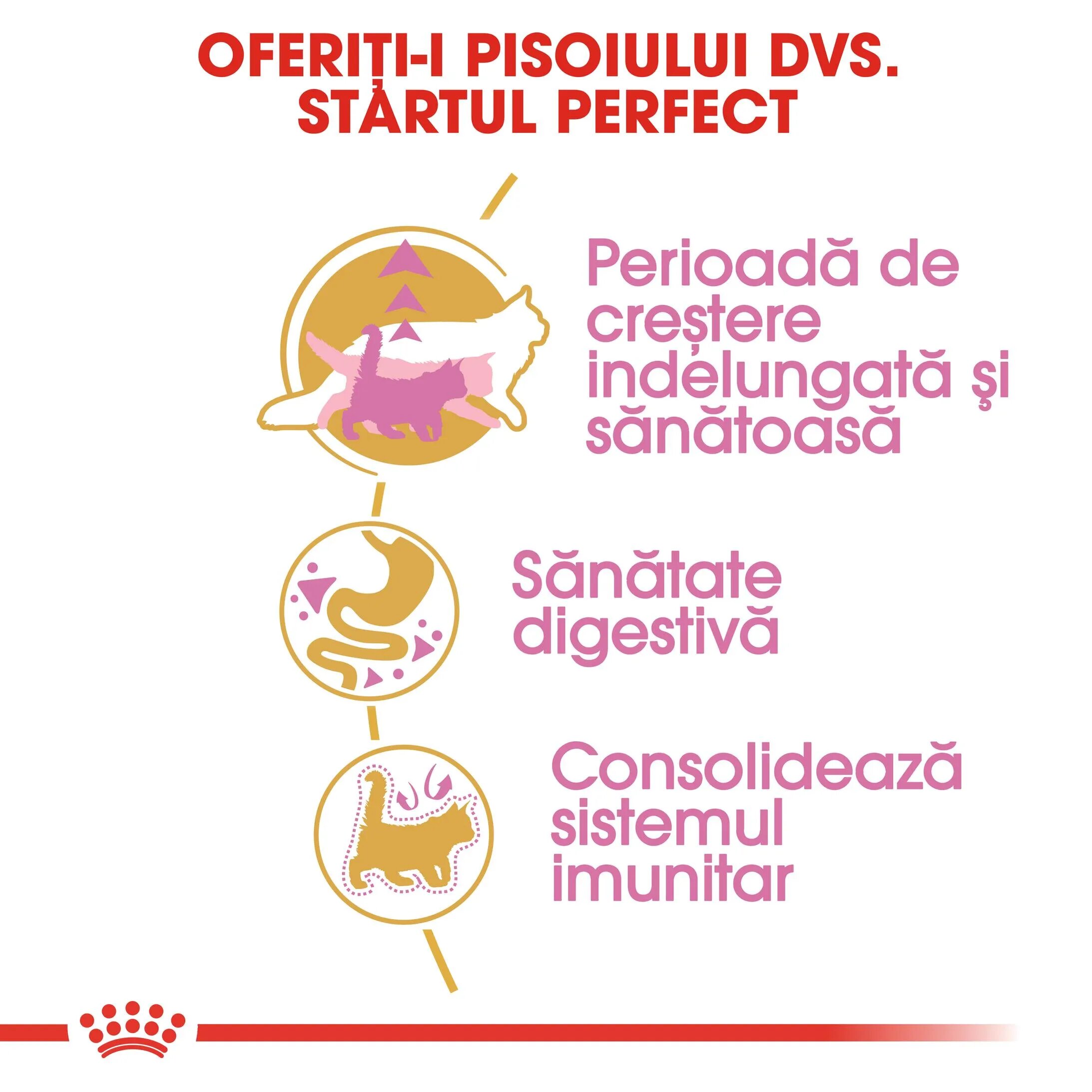 Royal Canin Maine Coon Kitten hrană uscată pisici junior 10kg