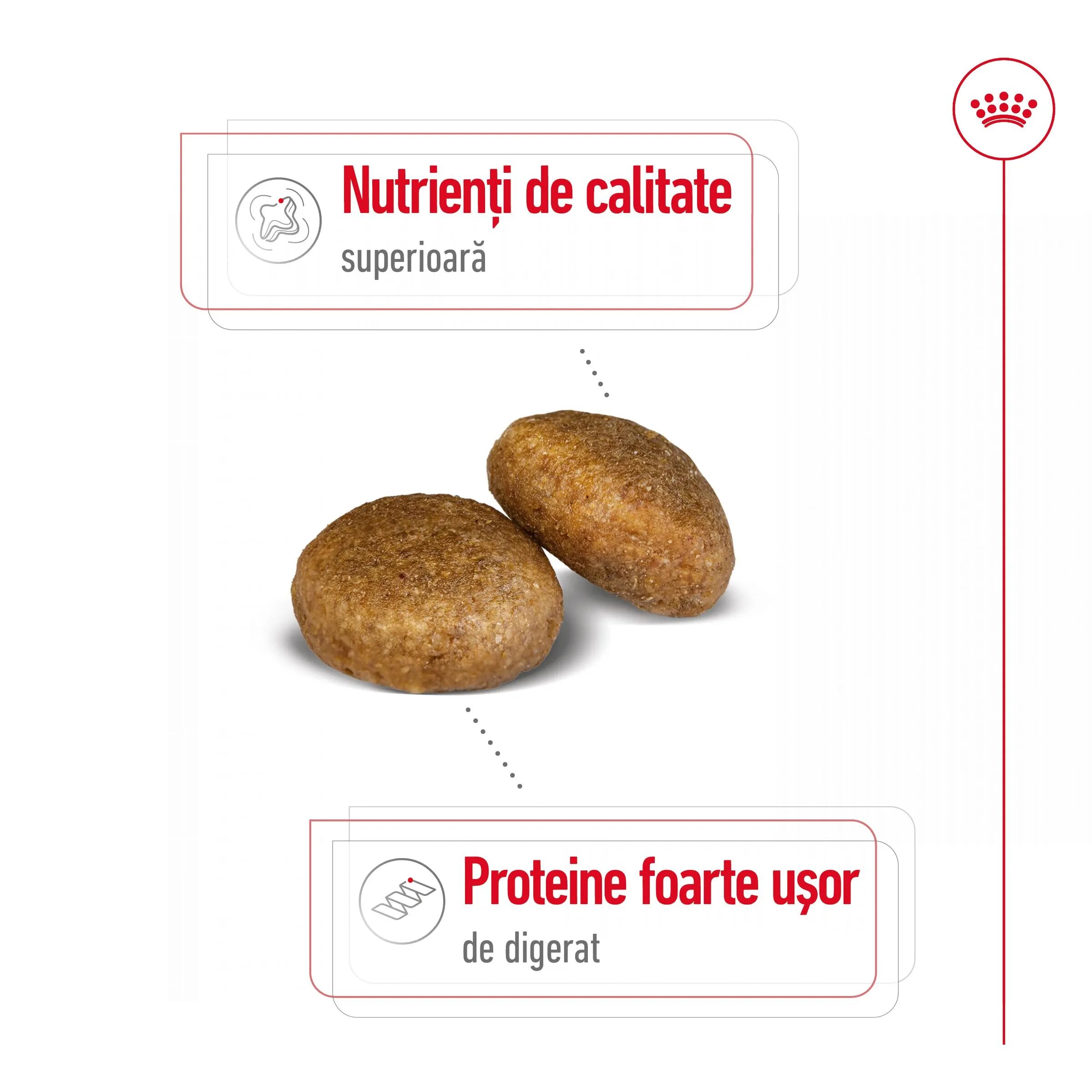 Royal Canin Maxi Adult hrană uscată câini 15kg