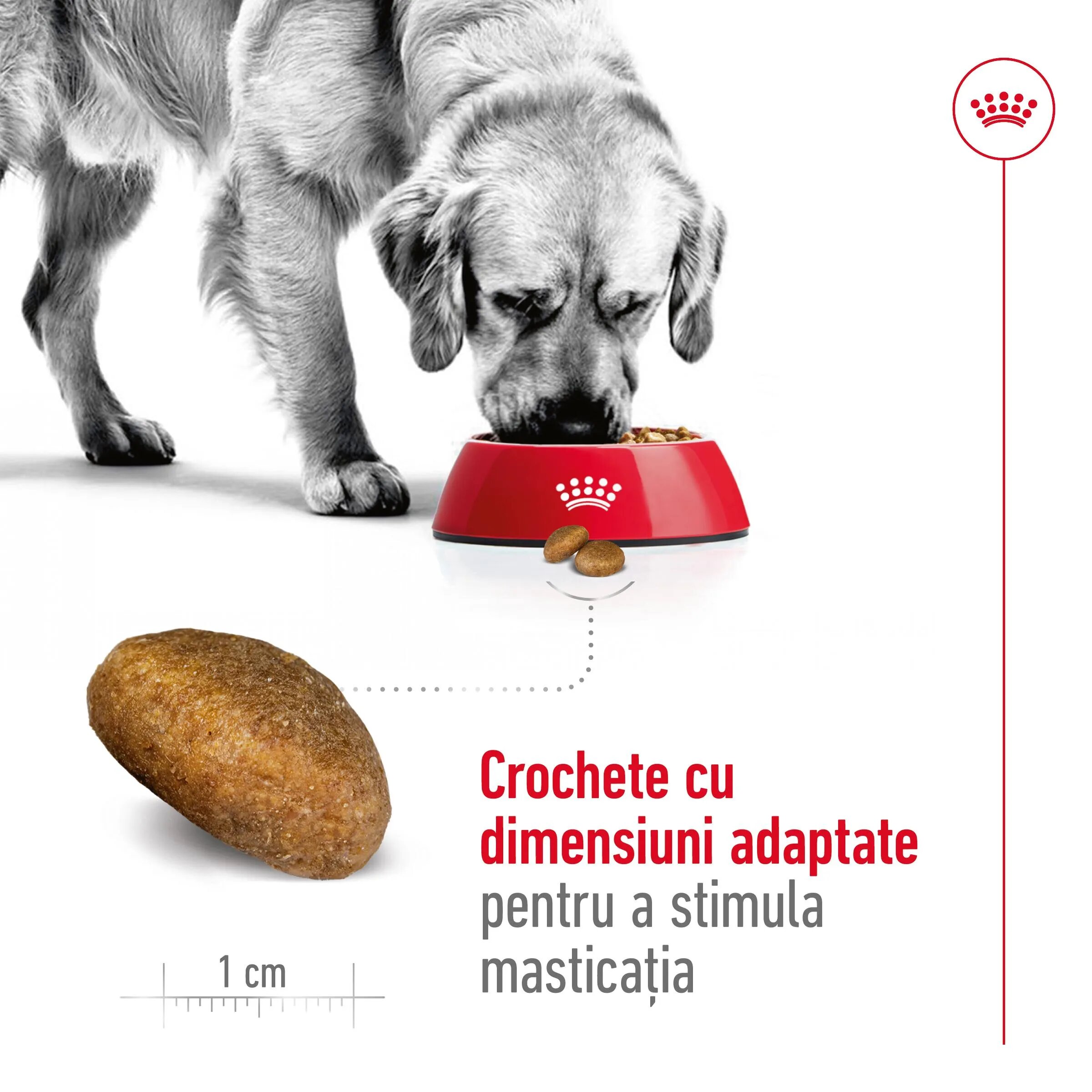 Royal Canin Maxi Adult hrană uscată câini 15kg