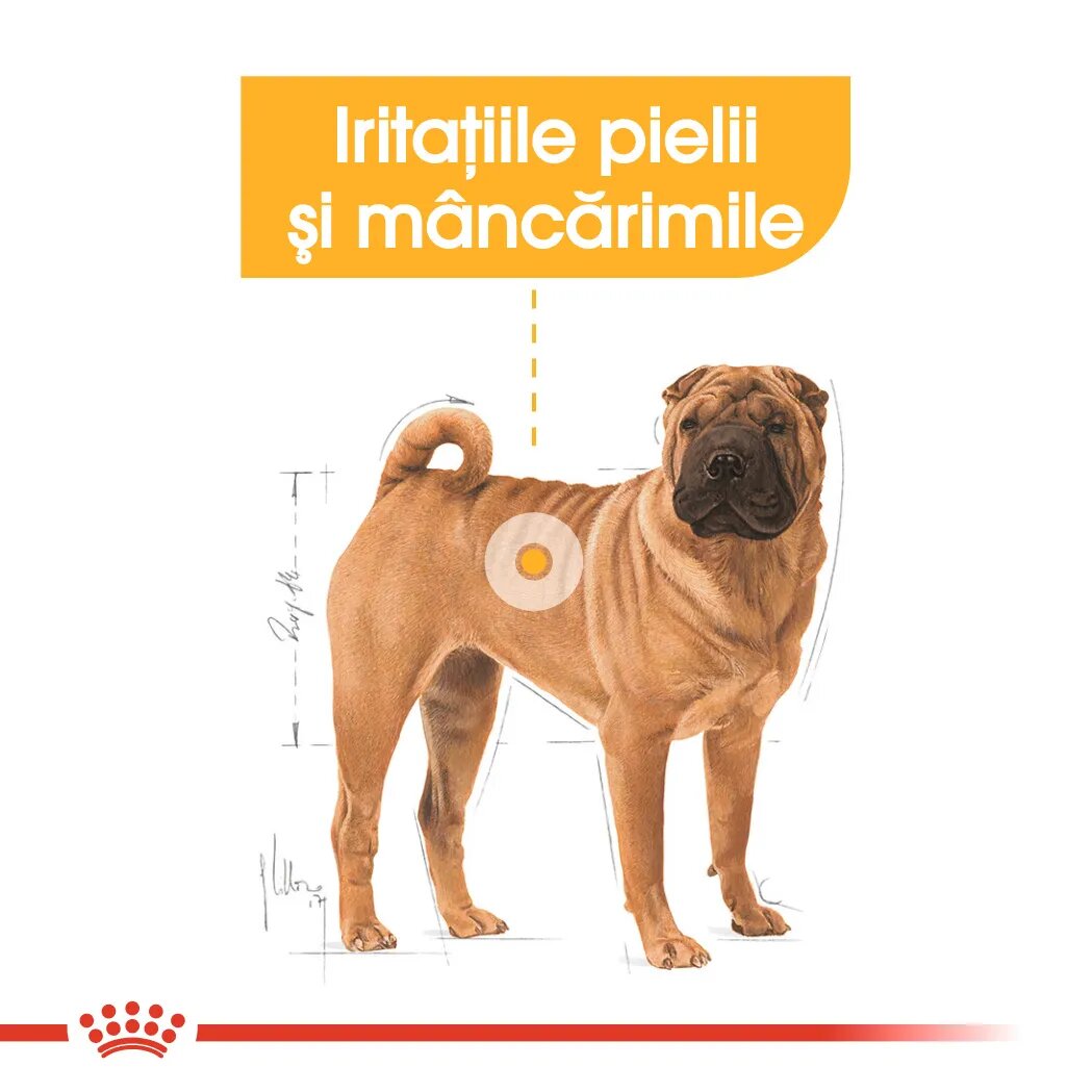 Royal Canin Medium Dermacomfort hrană uscată câini prevenirea iritațiilor pielii 3kg