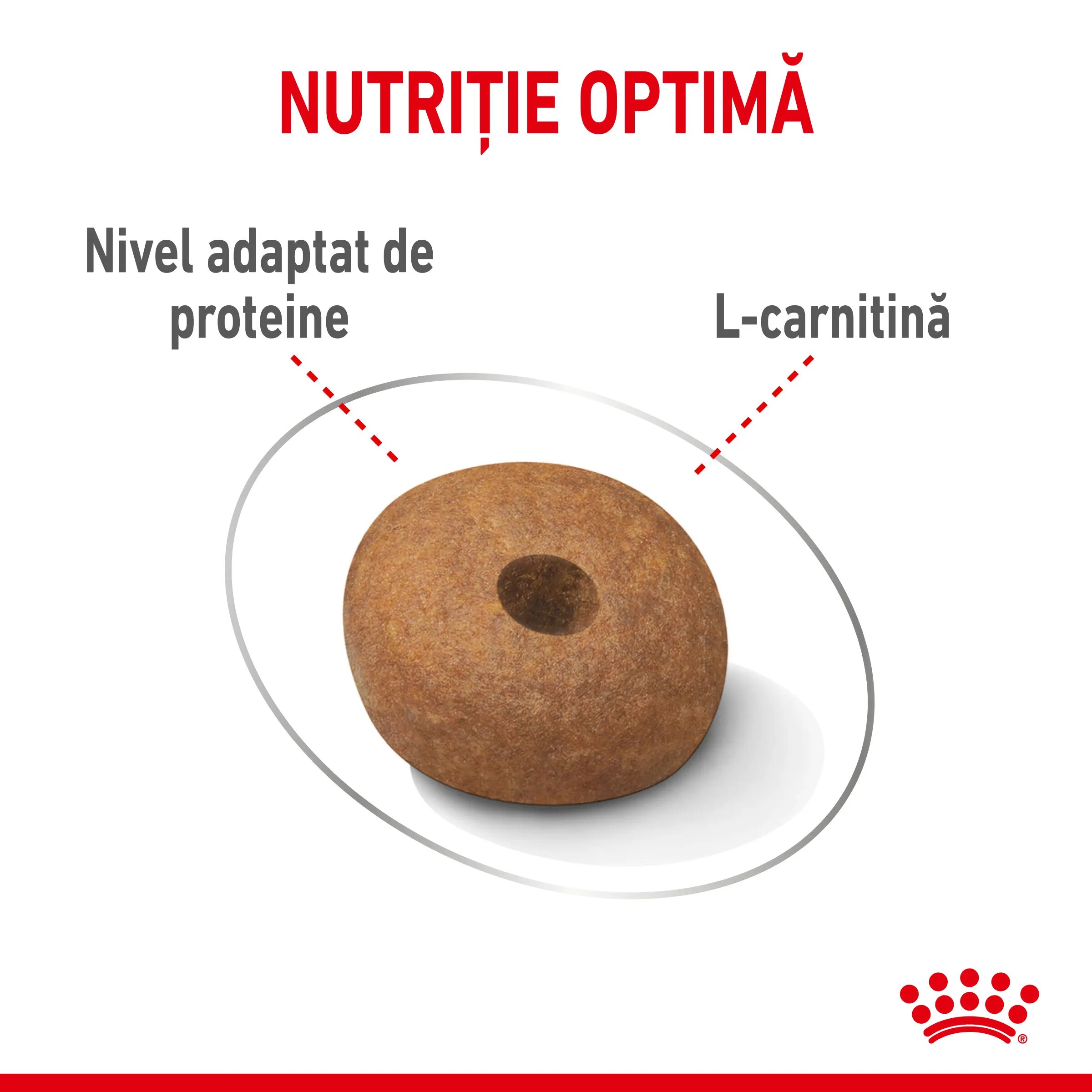 Royal Canin Medium Light Weight Care Adult hrană uscată câini limitarea creșterii în greutate 12kg