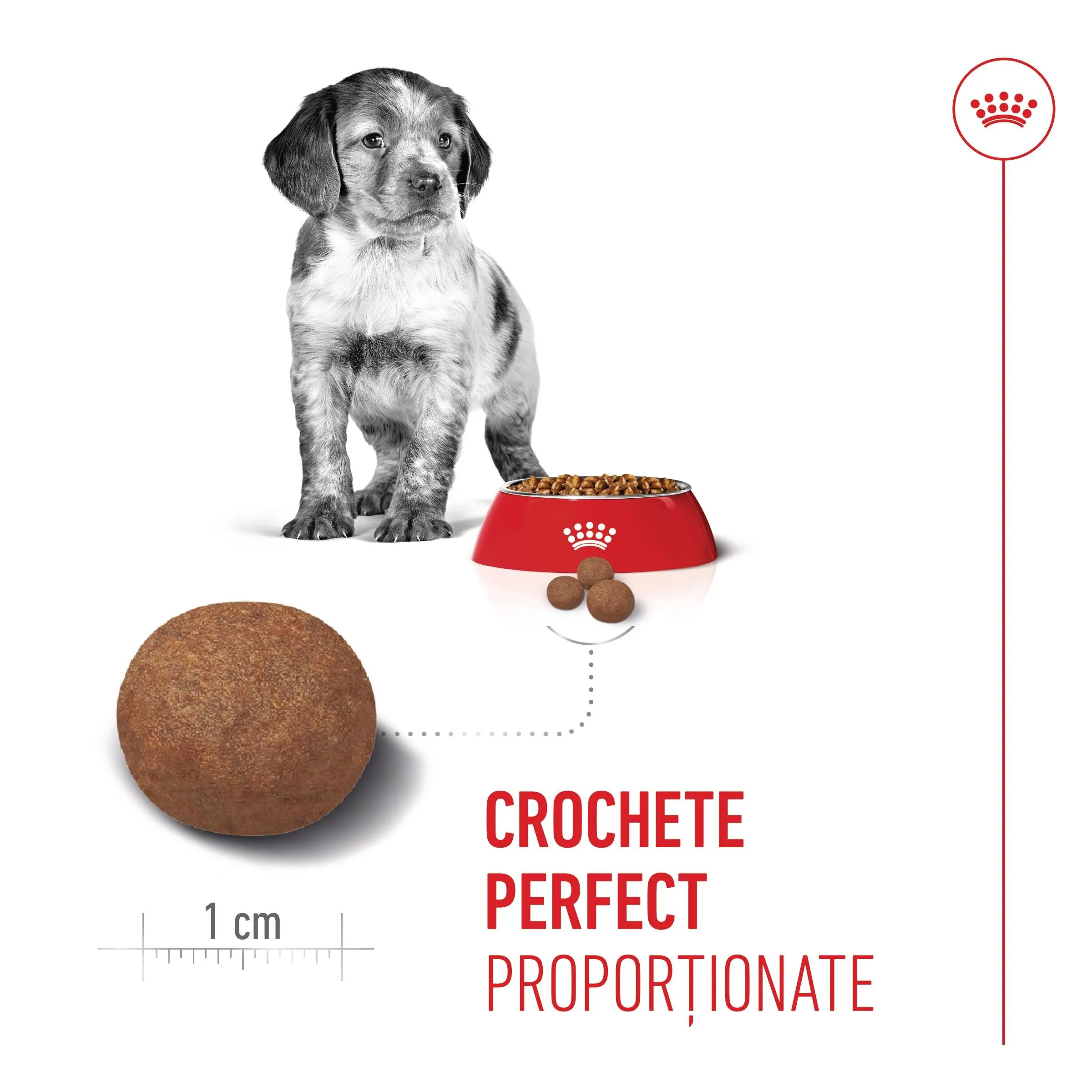 Royal Canin Medium Puppy hrană uscată câini junior 1kg