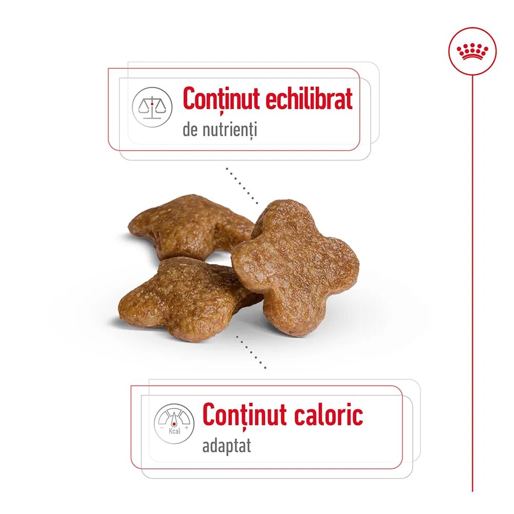Royal Canin Mini Adult 8+ hrană uscată câini 8kg