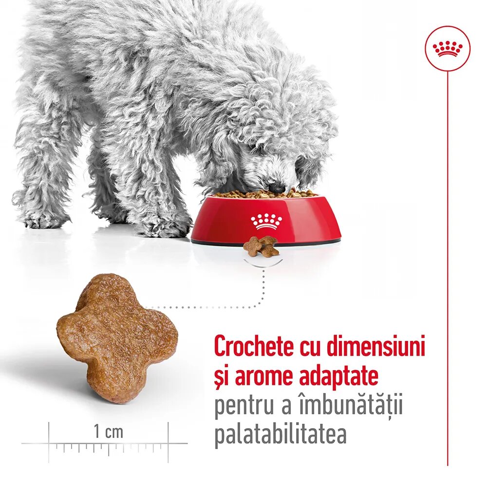 Royal Canin Mini Adult 8+ hrană uscată câini 8kg