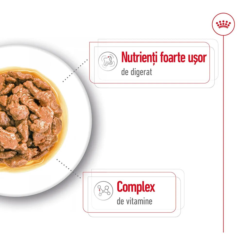 Royal Canin Mini Adult hrană umedă câini (în sos) bax 85g x 12buc