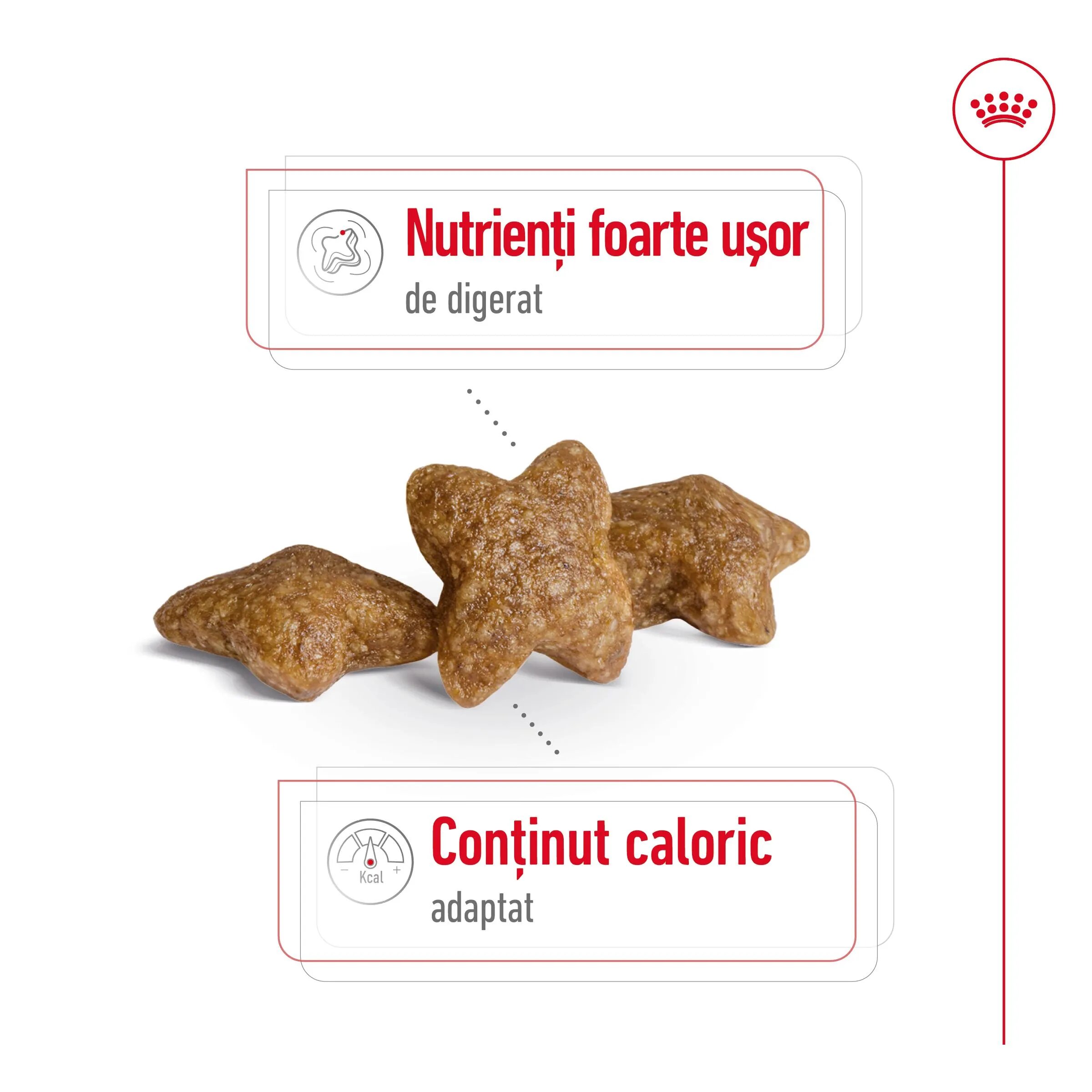 Royal Canin Mini Adult hrană uscată câini 8kg
