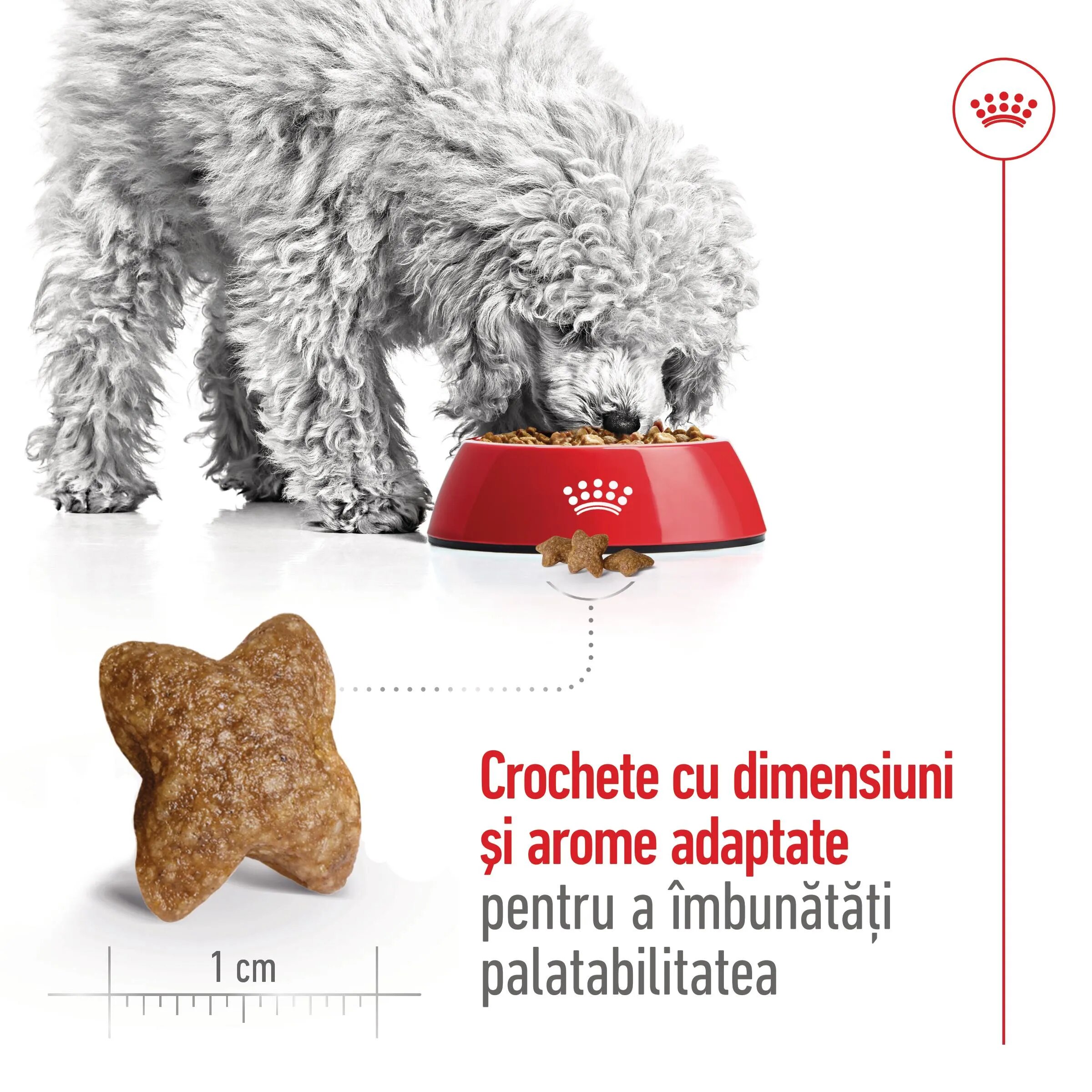 Royal Canin Mini Adult hrană uscată câini 8kg