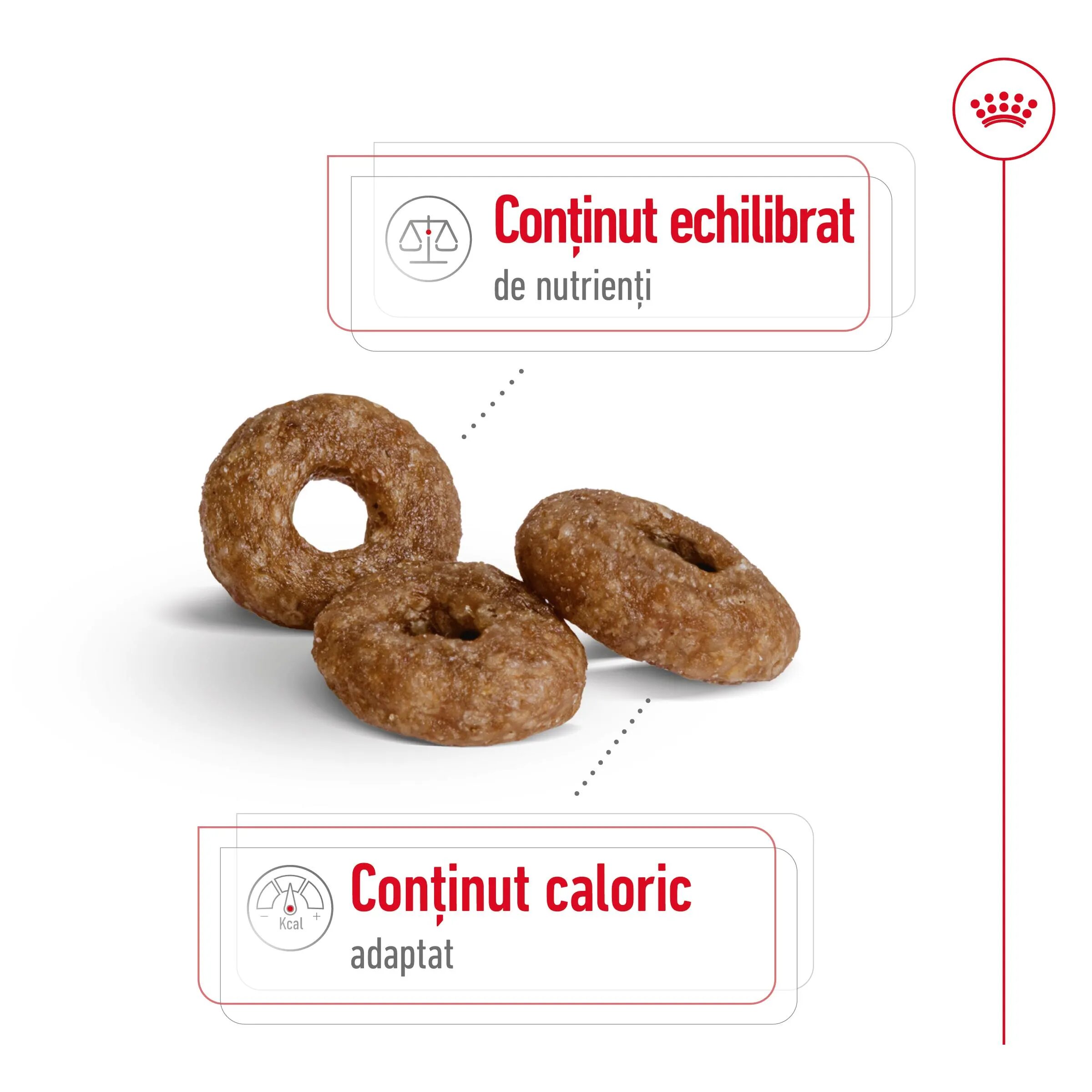 Royal Canin Mini Ageing 12+ hrană uscată câini senior 1.5kg