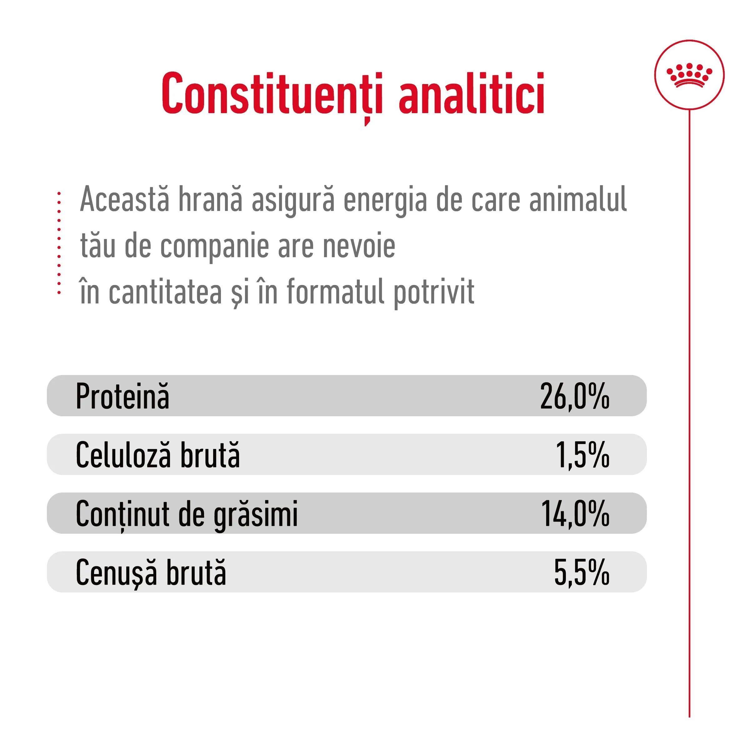 Royal Canin Mini Ageing 12+ hrană uscată câini senior 1.5kg