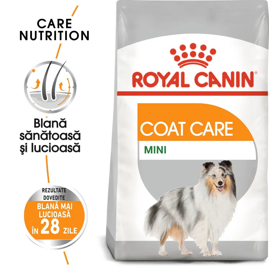 Royal Canin Mini Coat Care Adult hrană uscată câini 3kg