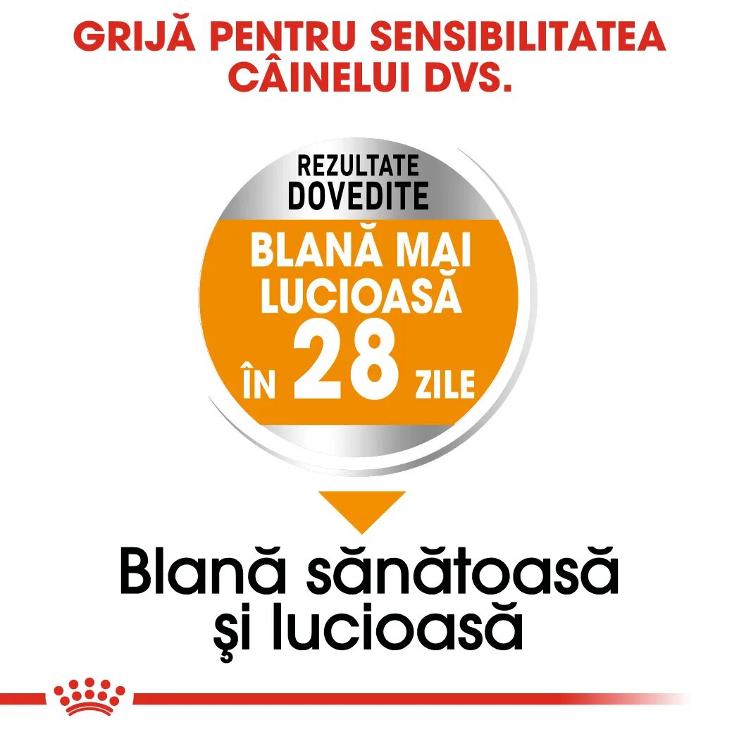 Royal Canin Mini Coat Care Adult hrană uscată câini 3kg