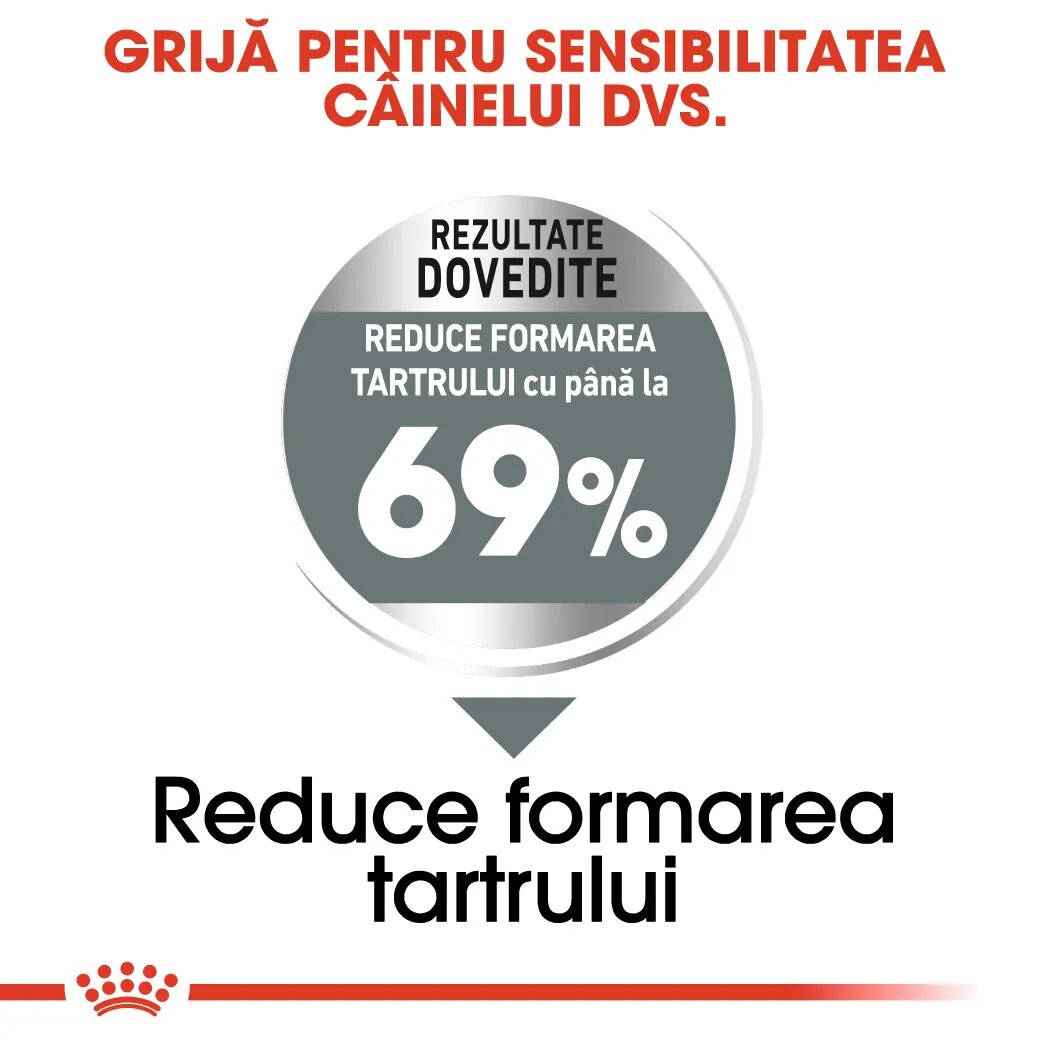 Royal Canin Mini Dental Care Adult hrană uscată câini reducerea formării tartrului 1kg