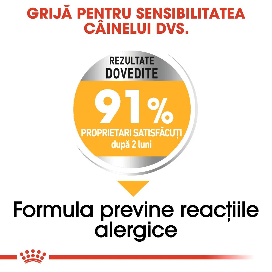 Royal Canin Mini Dermacomfort hrană uscată câini prevenirea iritațiilor pielii 8kg