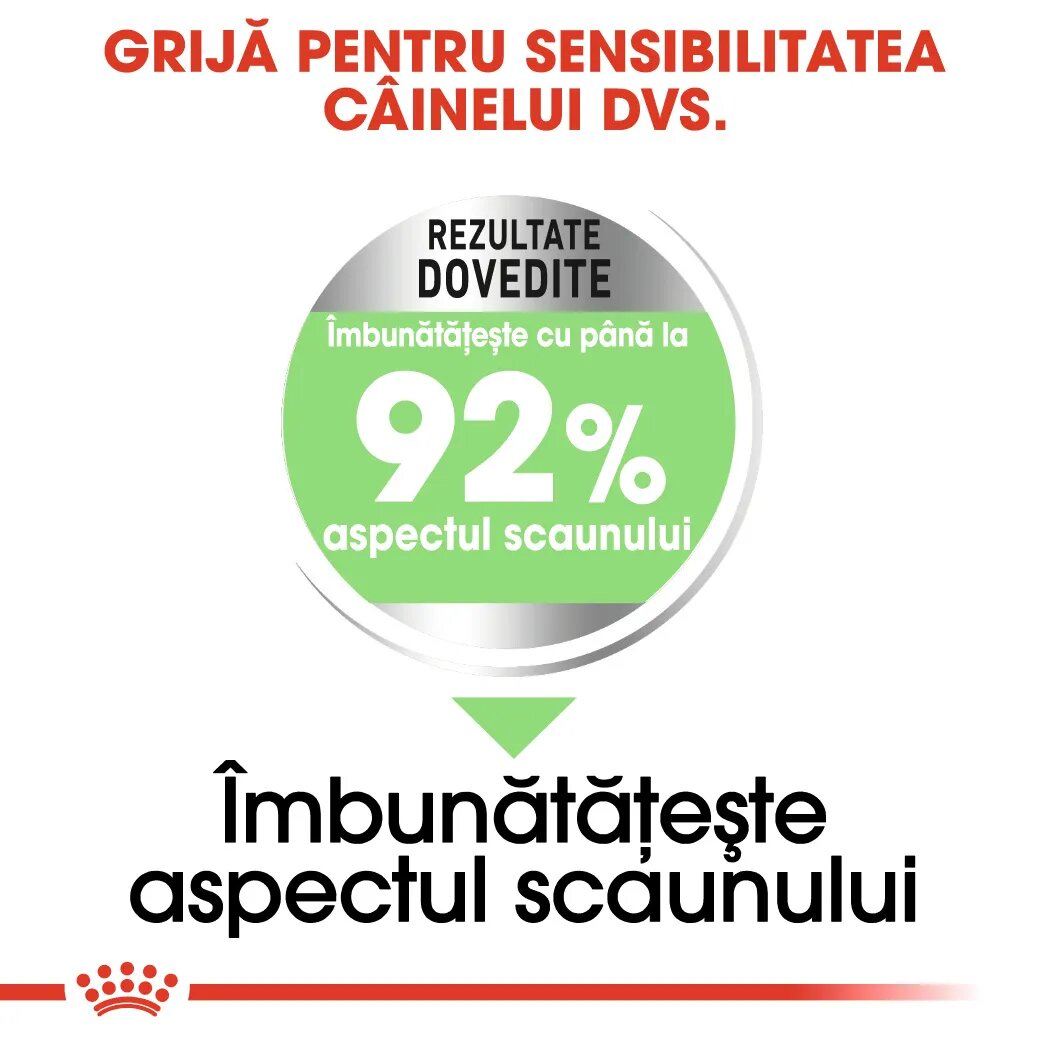 Royal Canin Mini Digestive Care hrană uscată câini confort digestiv 3kg