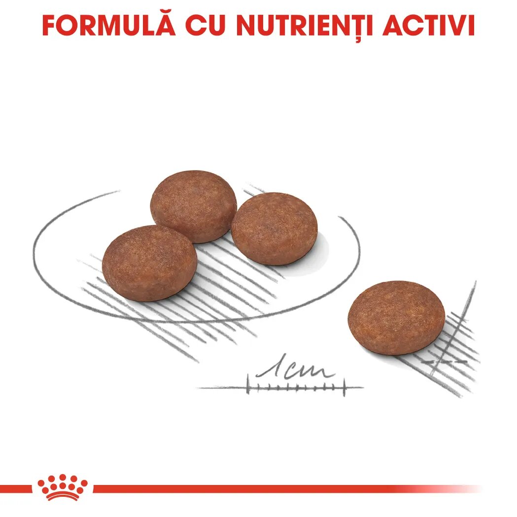 Royal Canin Mini Digestive Care hrană uscată câini confort digestiv 3kg