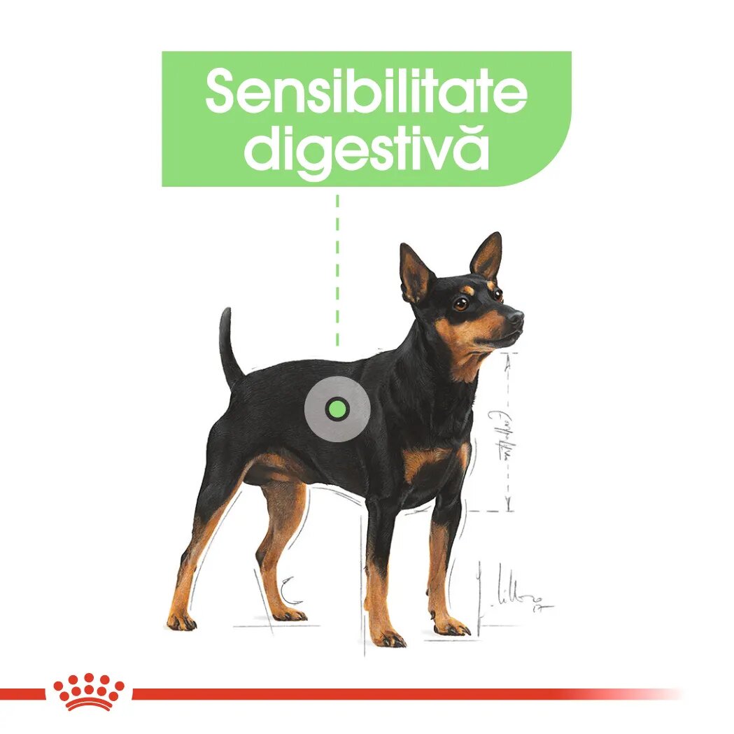 Royal Canin Mini Digestive Care hrană uscată câini confort digestiv 8kg