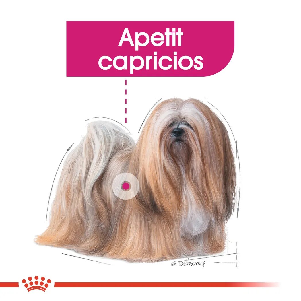 Royal Canin Mini Exigent hrană uscată câini apetit capricios 1kg