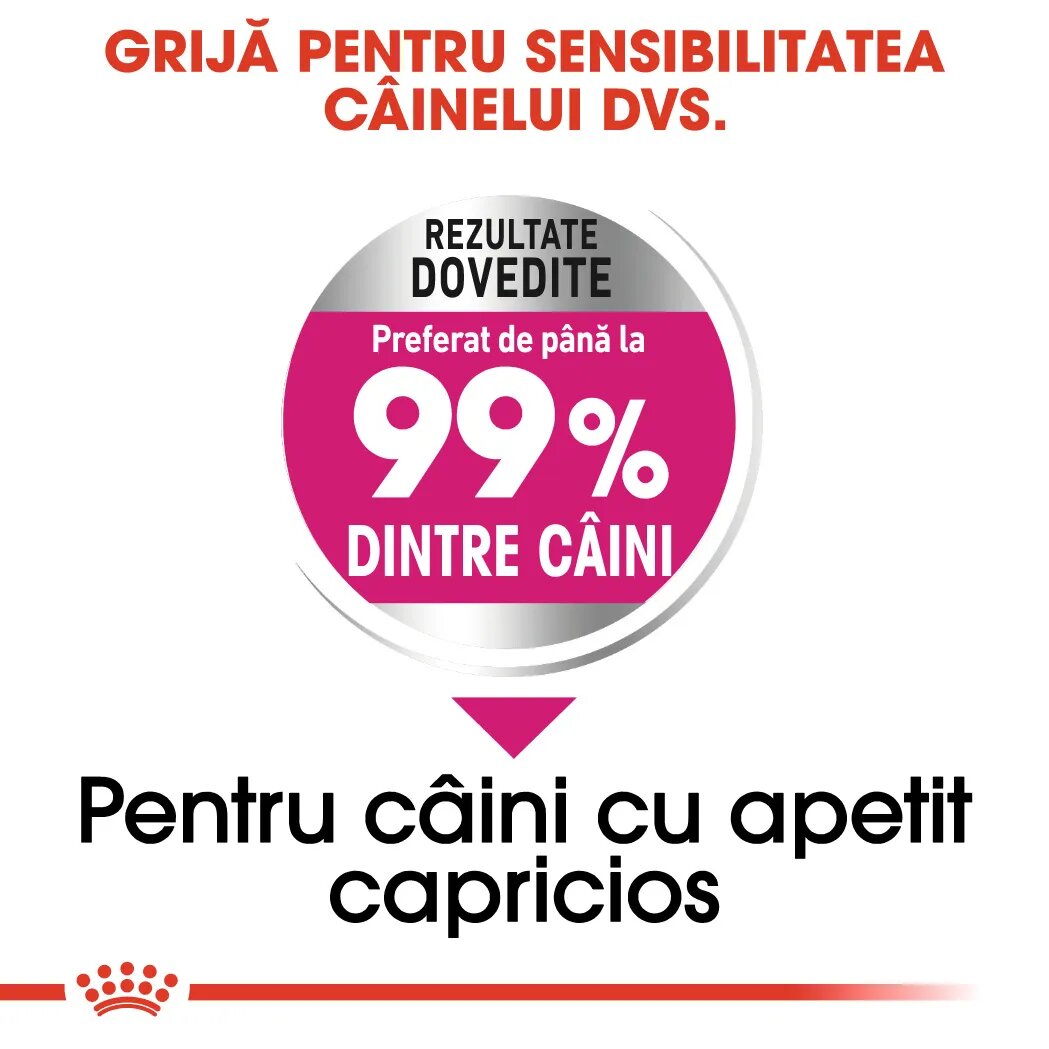 Royal Canin Mini Exigent hrană uscată câini apetit capricios 1kg