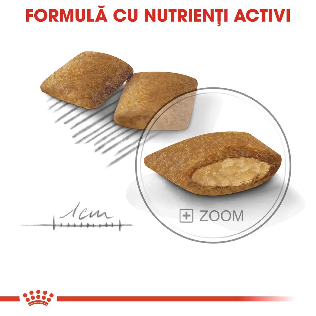 Royal Canin Mini Exigent hrană uscată câini apetit capricios 1kg