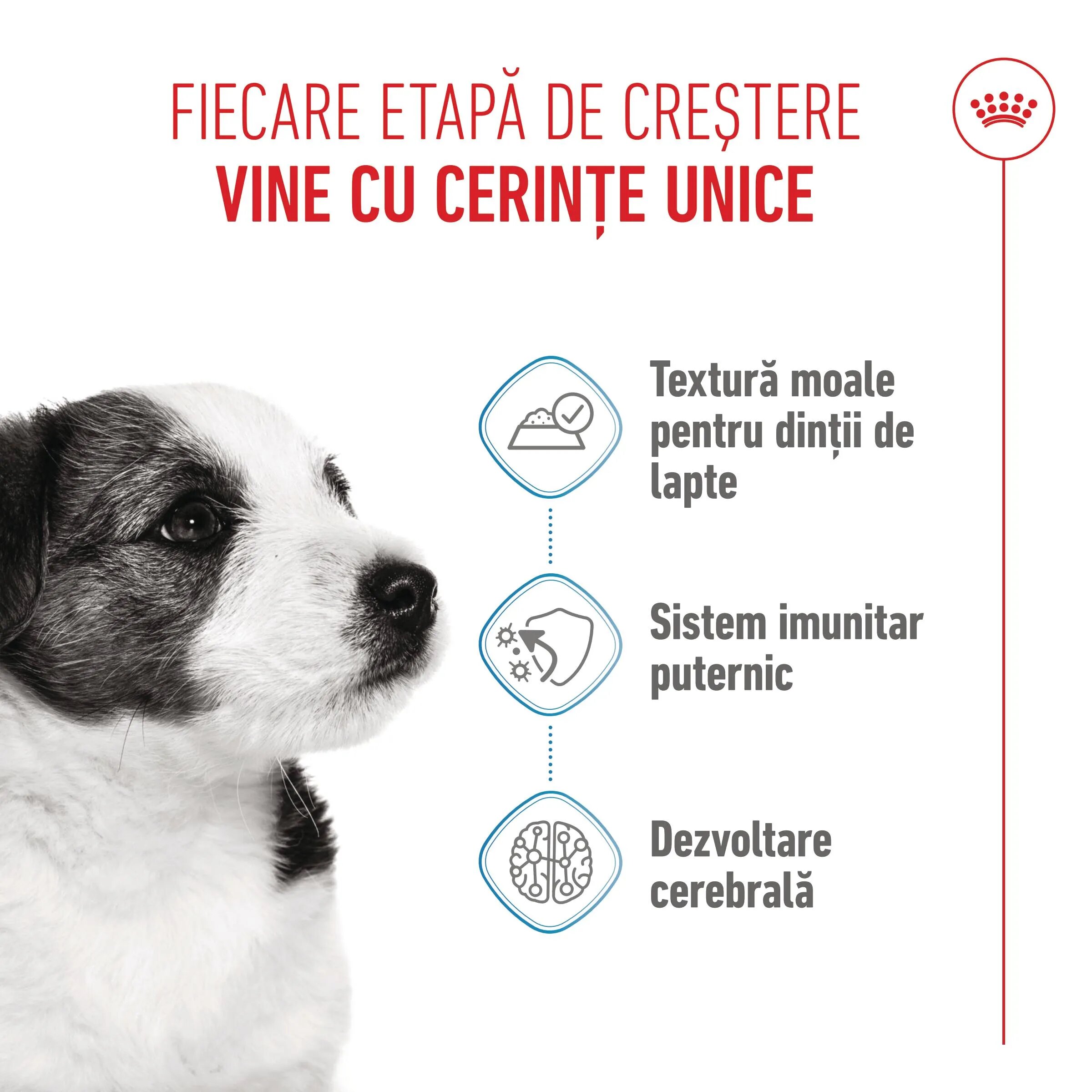Royal Canin Mini Puppy hrană umedă câini junior (în sos) 85g