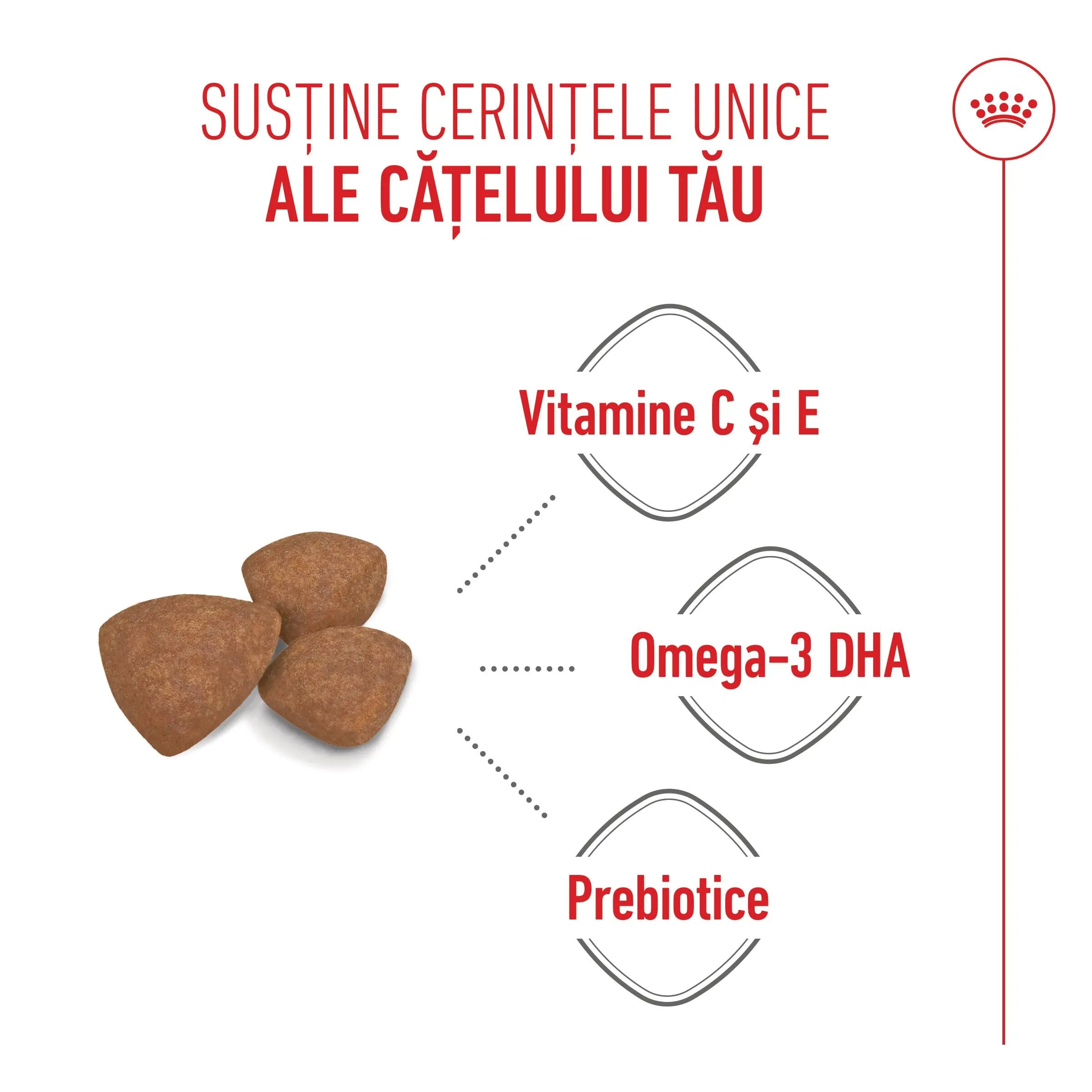 Royal Canin Mini Puppy hrană uscată câini junior 800g