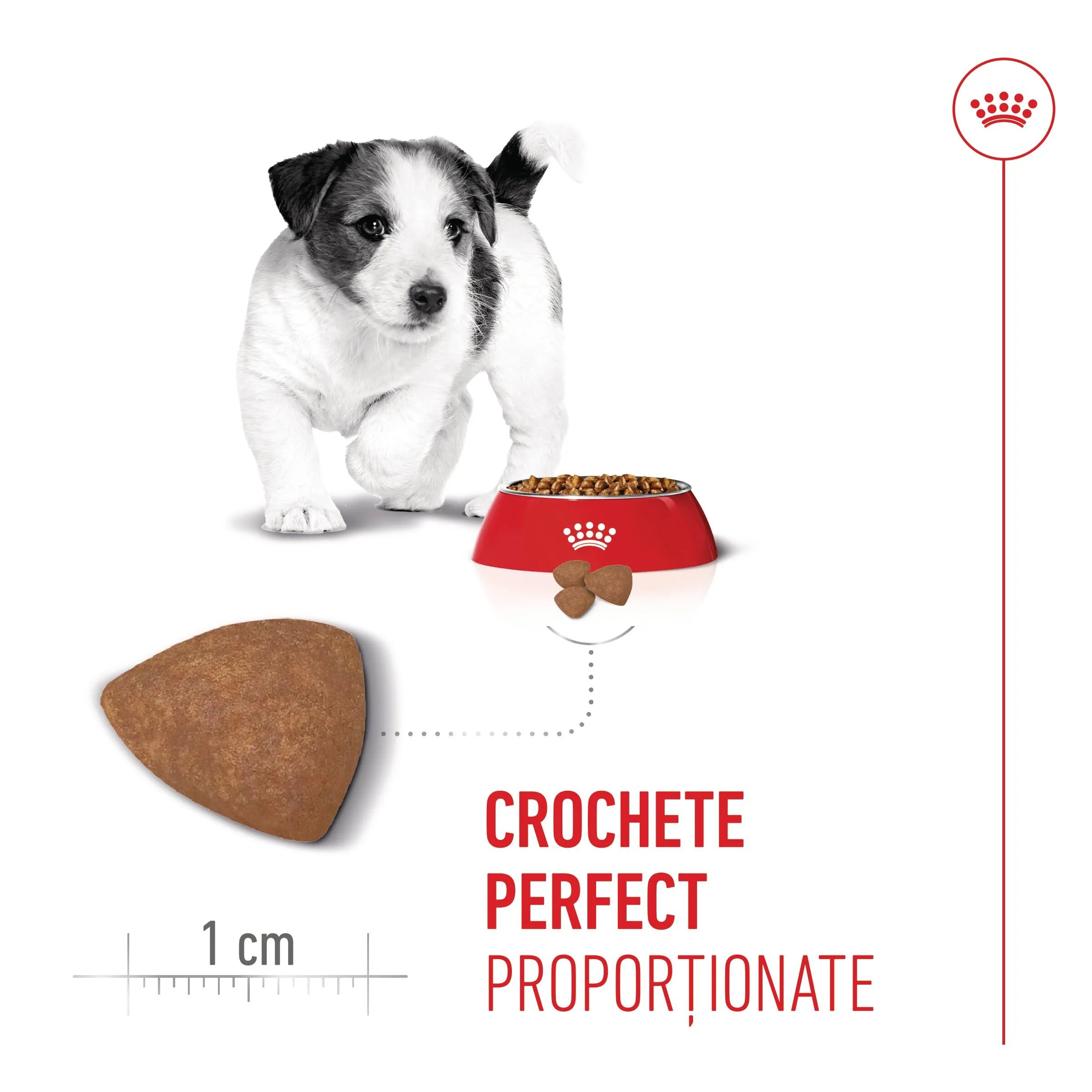 Royal Canin Mini Puppy hrană uscată câini junior 800g