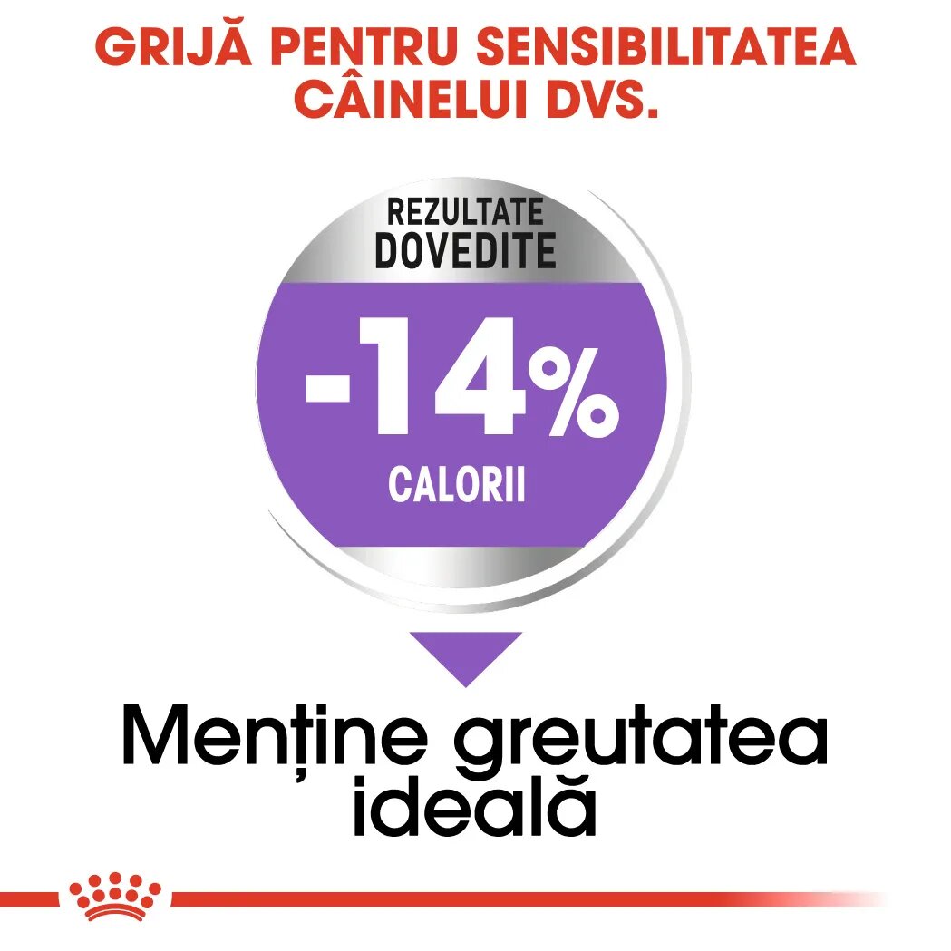 Royal Canin Mini Sterilised Adult hrană uscată câini sterilizați 1kg