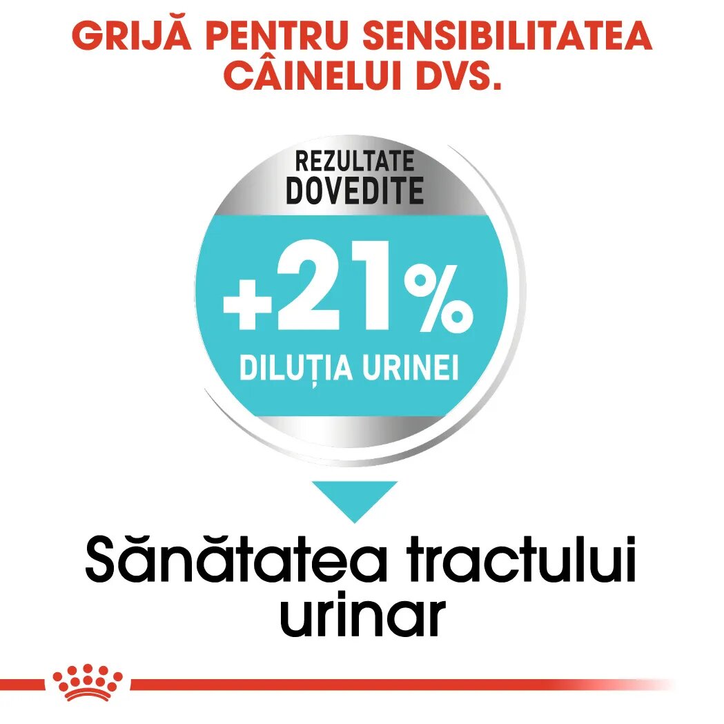 Royal Canin Mini Urinary Care hrană uscată câini sănătatea tractului urinar 1kg
