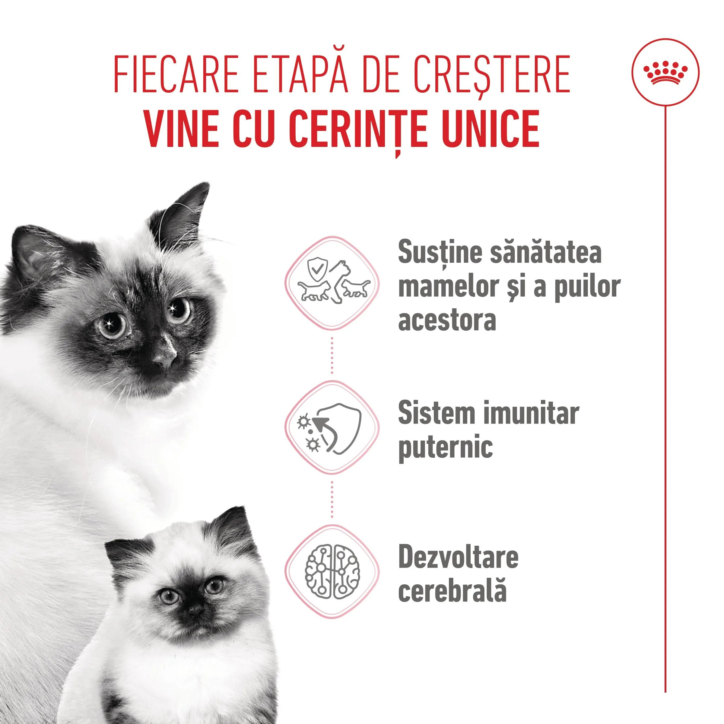 Royal Canin Mother & BabyCat hrană uscată pisici mama și puiul 400g