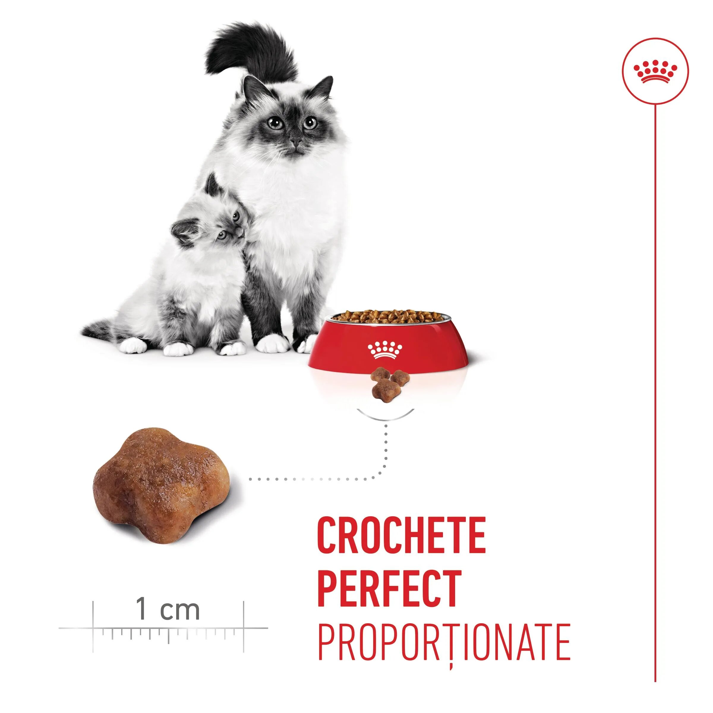 Royal Canin Mother & BabyCat hrană uscată pisici mama și puiul 400g