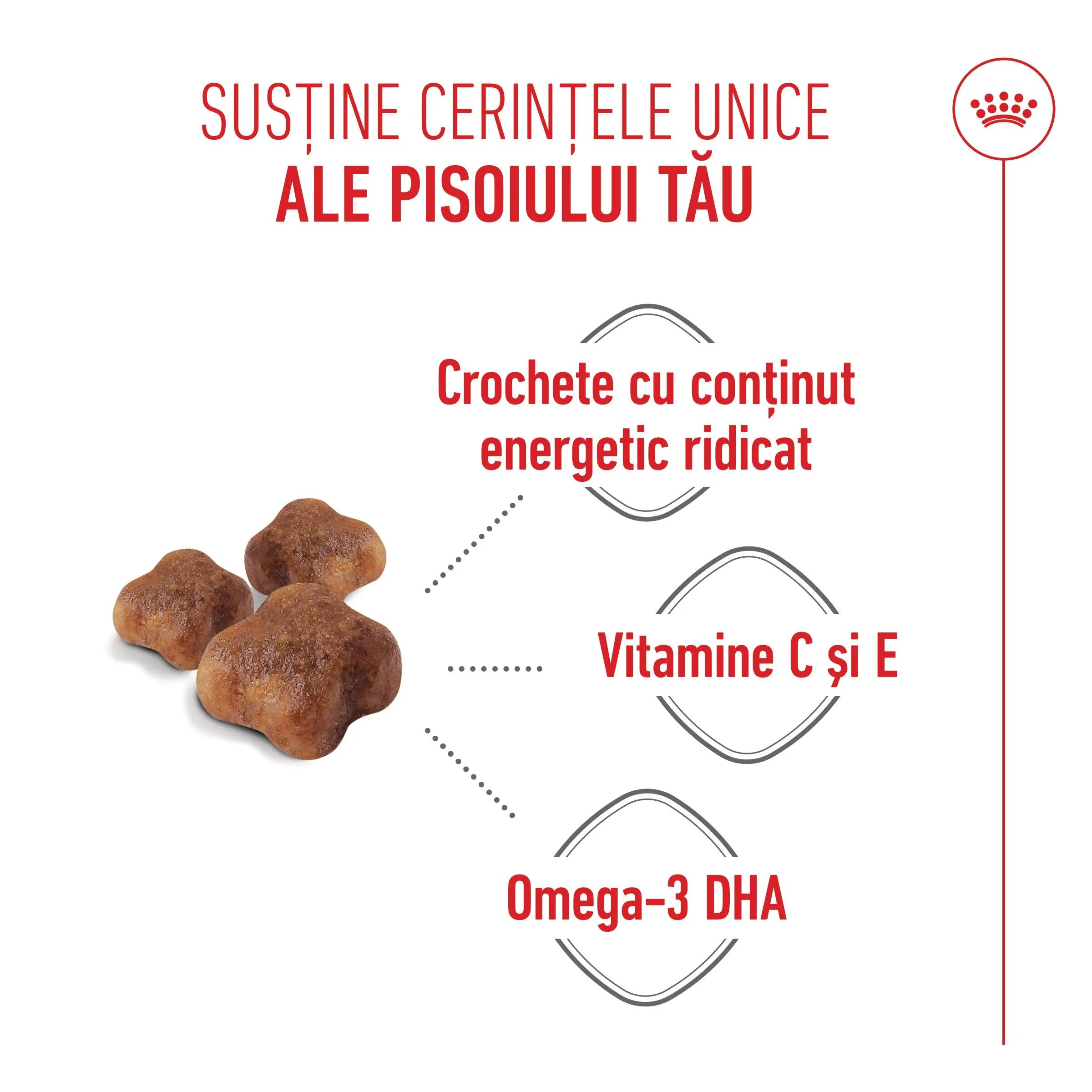 Royal Canin Mother & BabyCat hrană uscată pisici mama și puiul 4kg
