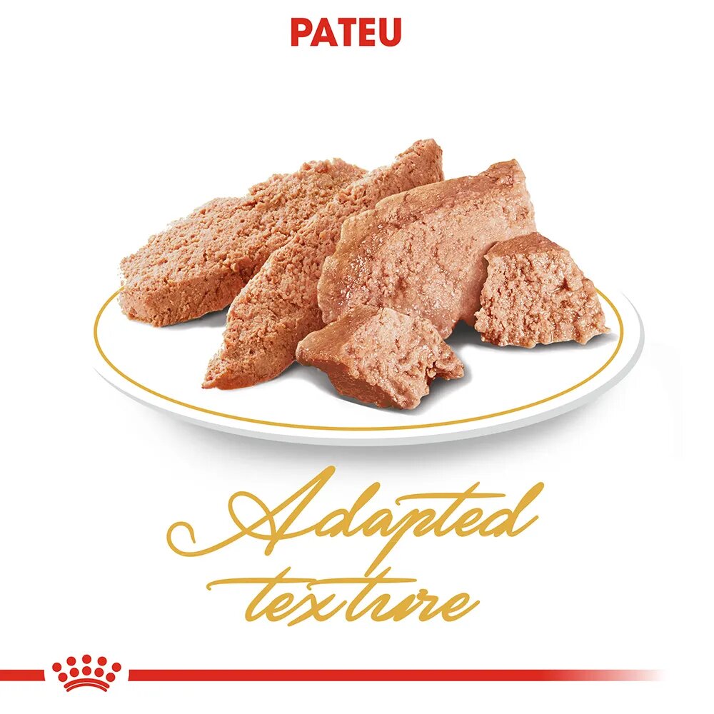 Royal Canin Persian Adult hrană umedă pisici (pate) 85g