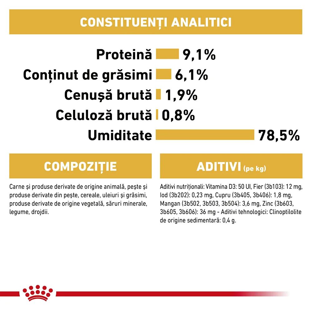 Royal Canin Persian Adult hrană umedă pisici (pate) 85g