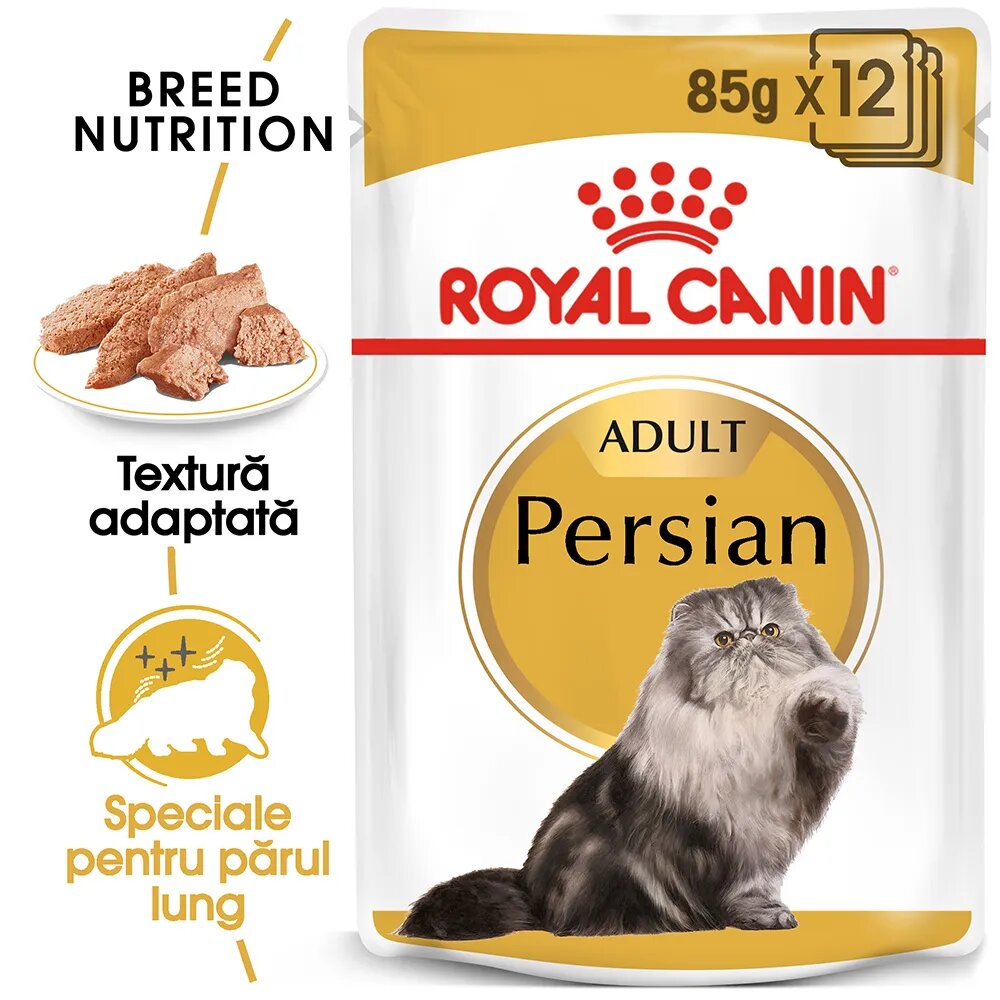 Royal Canin Persian Adult hrană umedă pisici (pate) bax 85g x 12buc