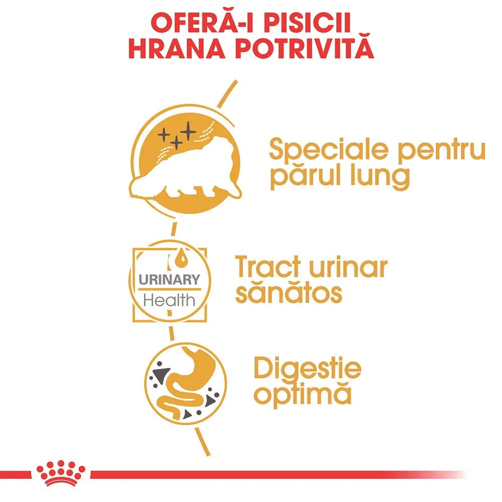 Royal Canin Persian Adult hrană umedă pisici (pate) bax 85g x 12buc