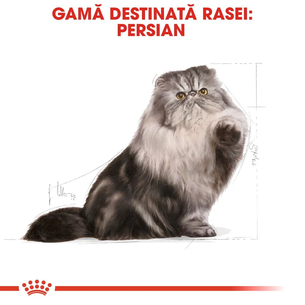 Royal Canin Persian Adult hrană uscată pisici 2kg