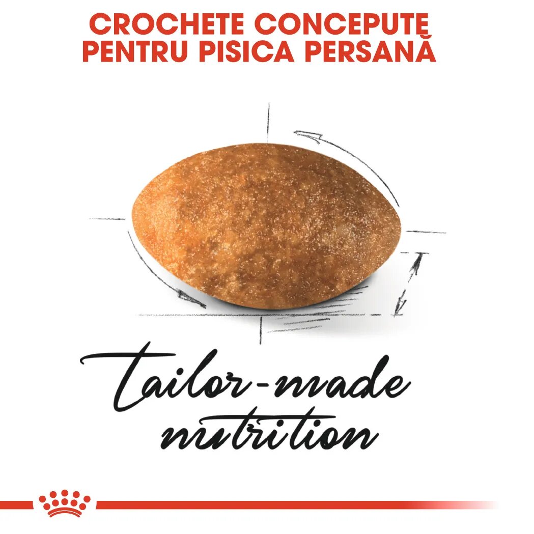Royal Canin Persian Adult hrană uscată pisici 2kg