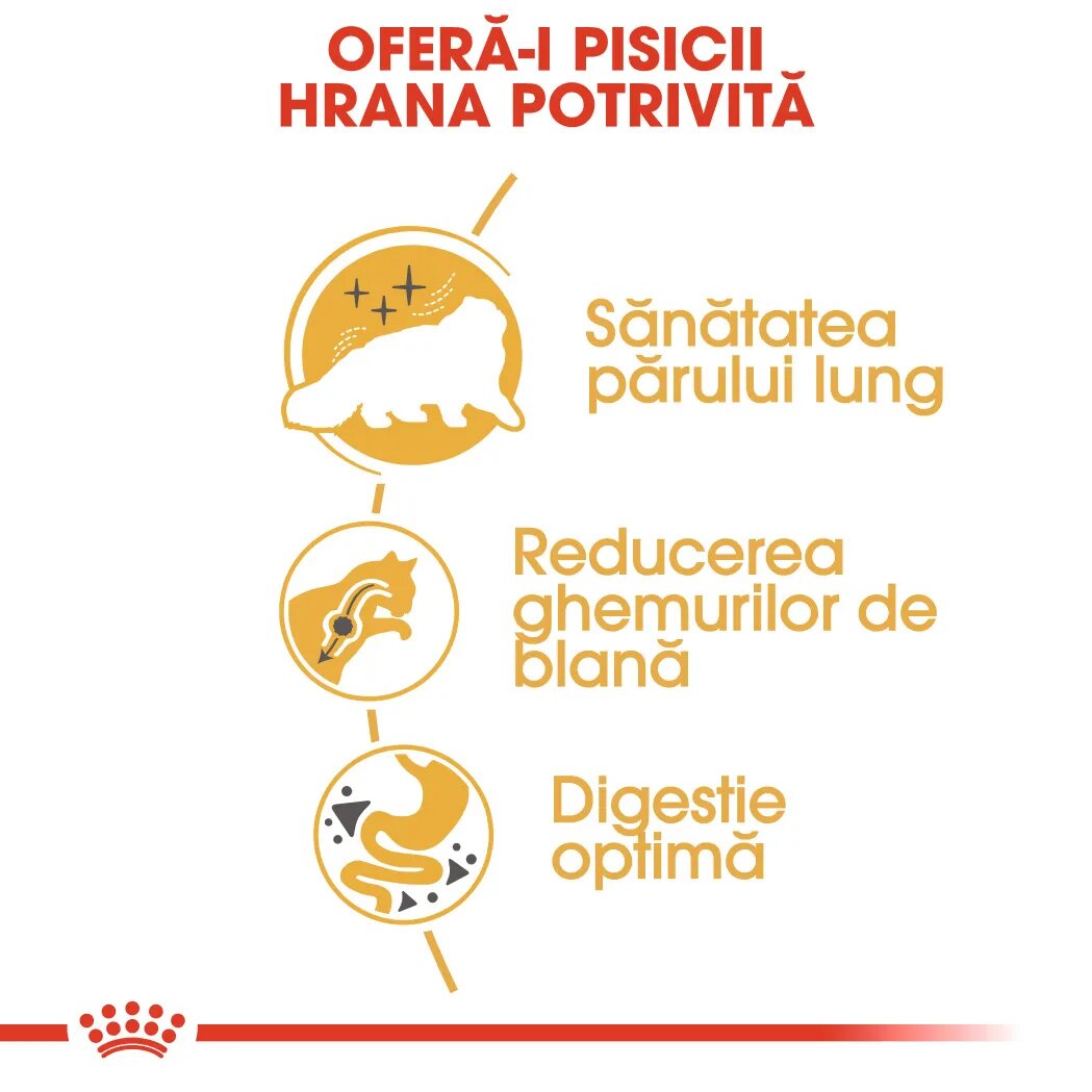 Royal Canin Persian Adult hrană uscată pisici 400g