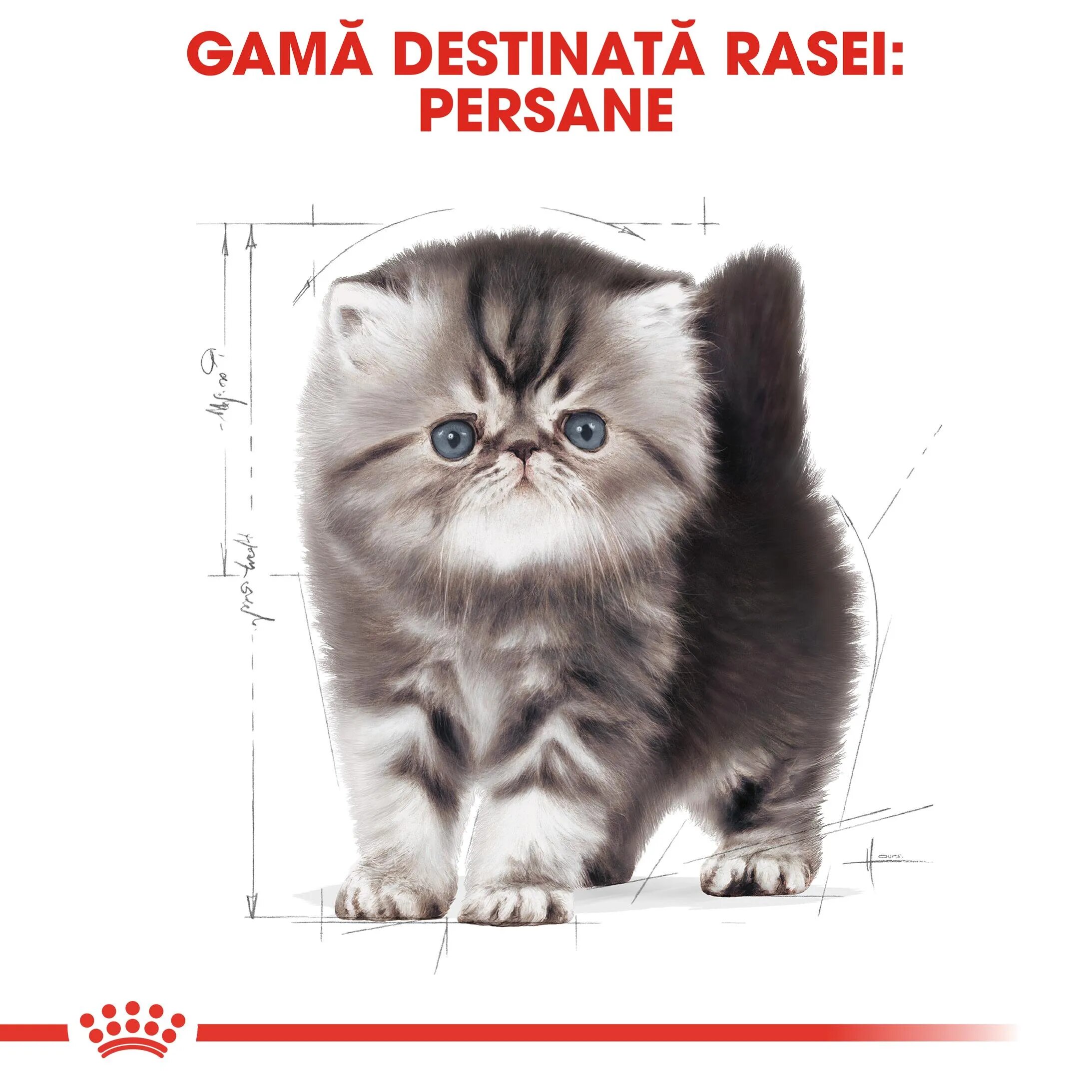 Royal Canin Persian Kitten hrană uscată pisici junior 2kg